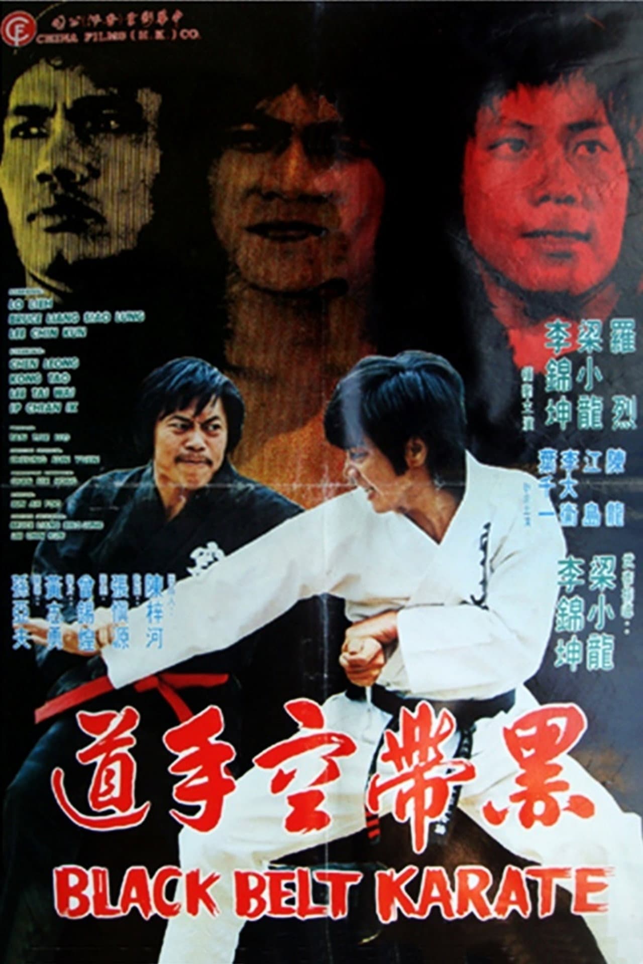 Black Belt Karate preview 1