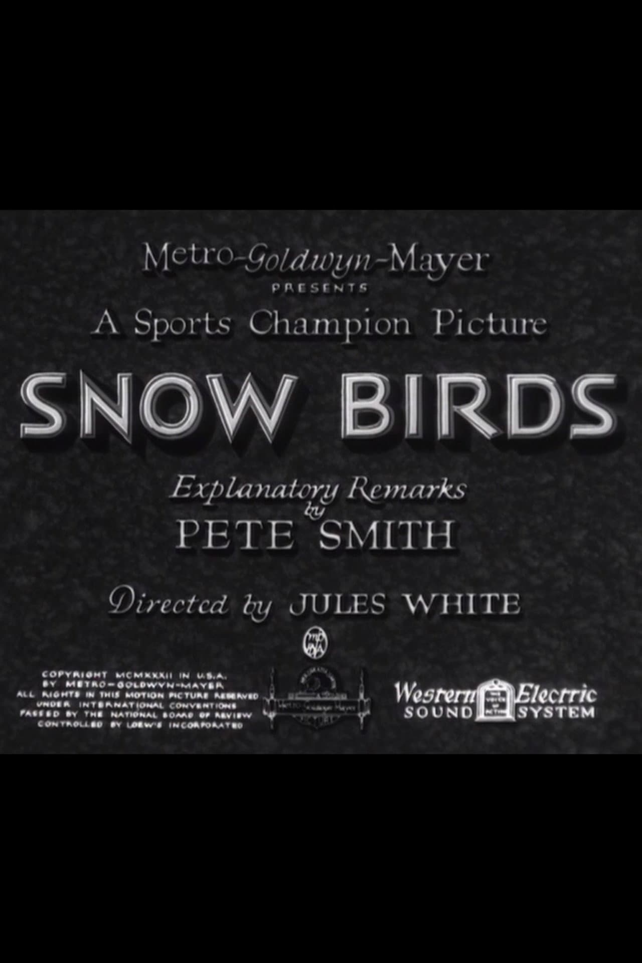 Snow Birds preview 1