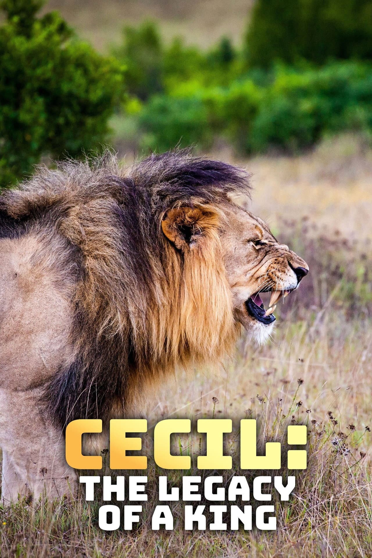 Cecil: The Legacy of a King preview 2
