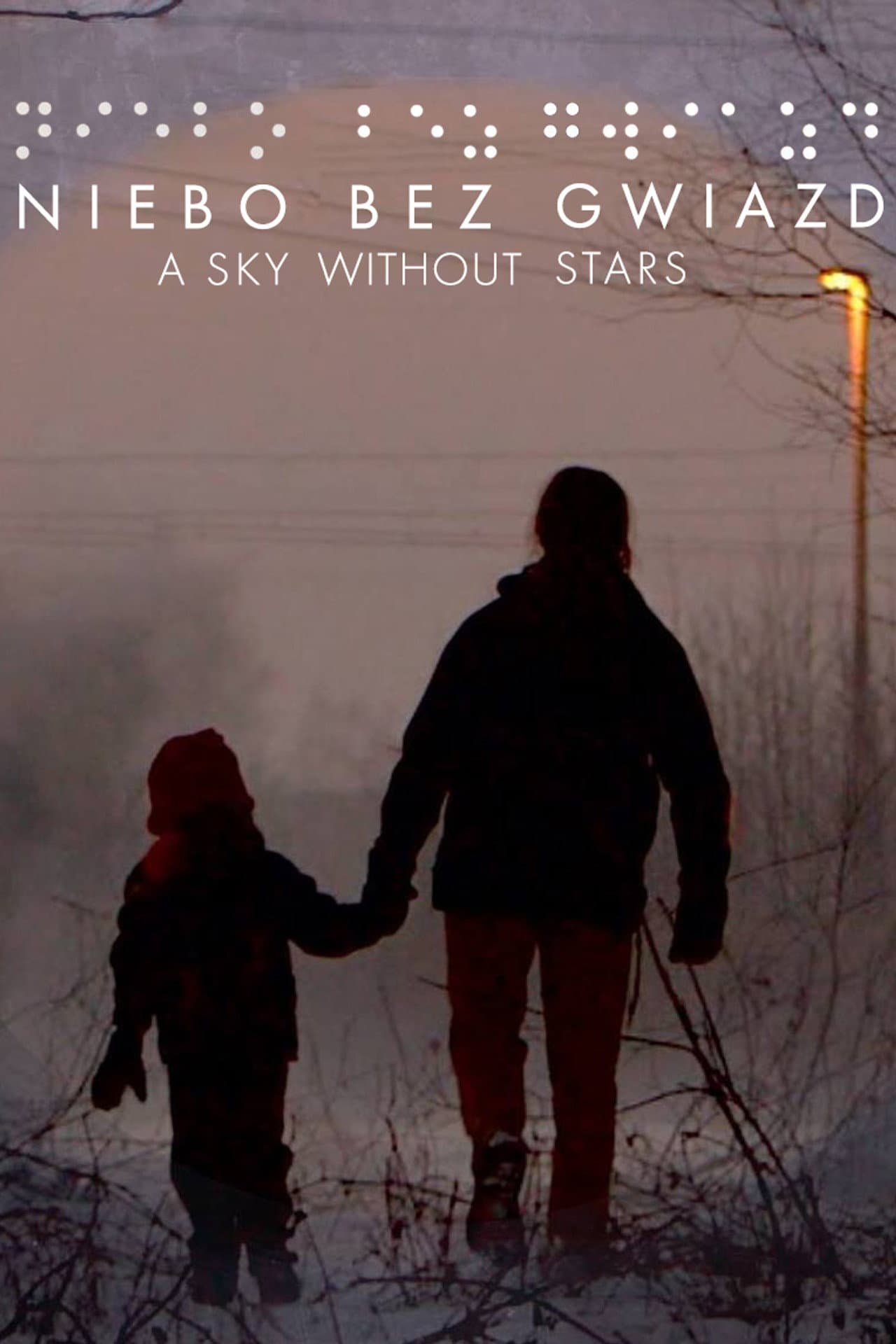 A Sky Without Stars preview 2
