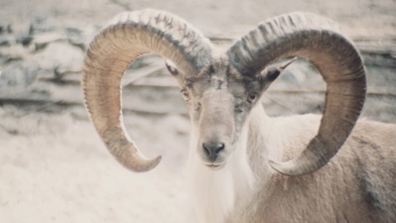 Paradies der Tiere