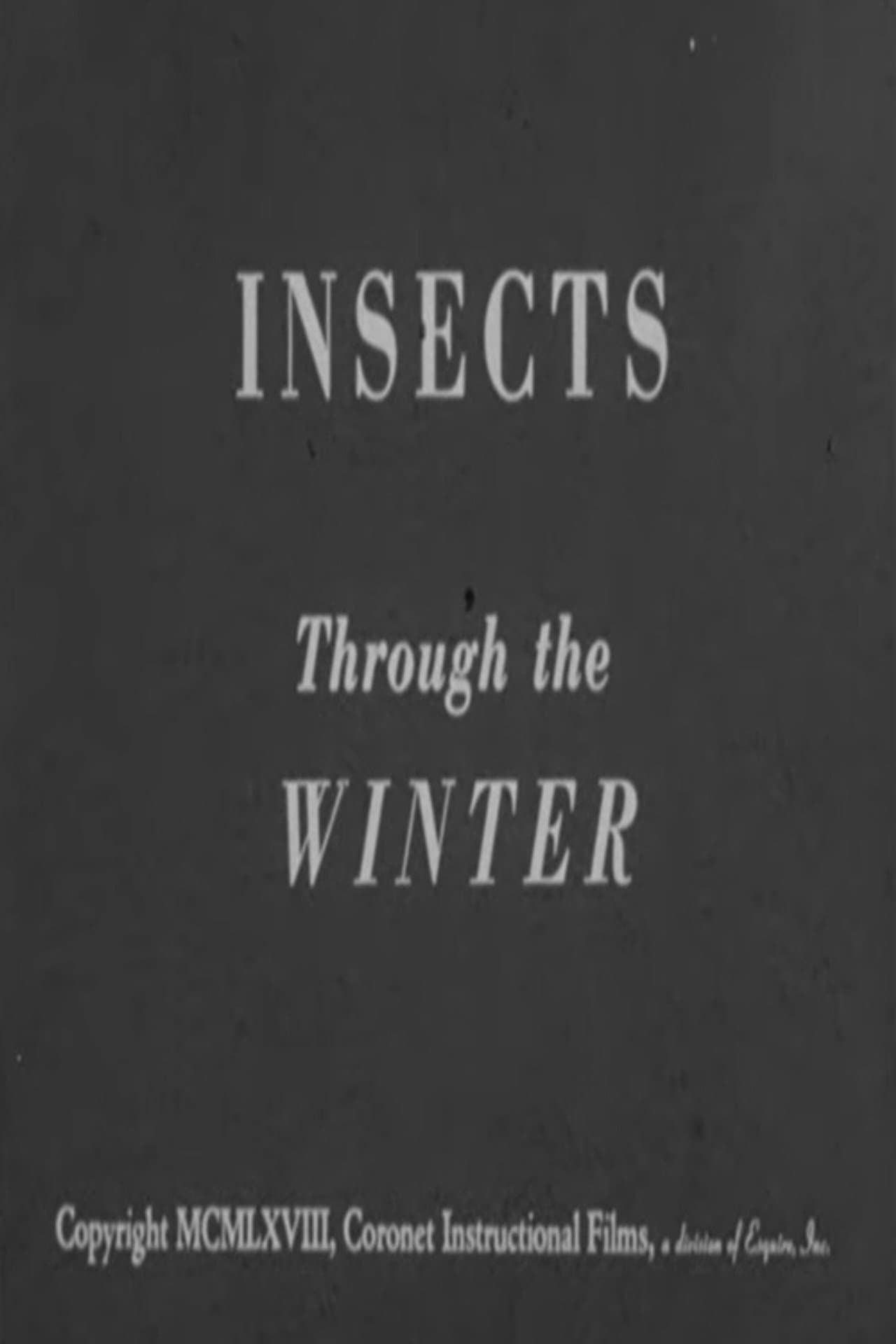 Insects Through the Winter preview 2