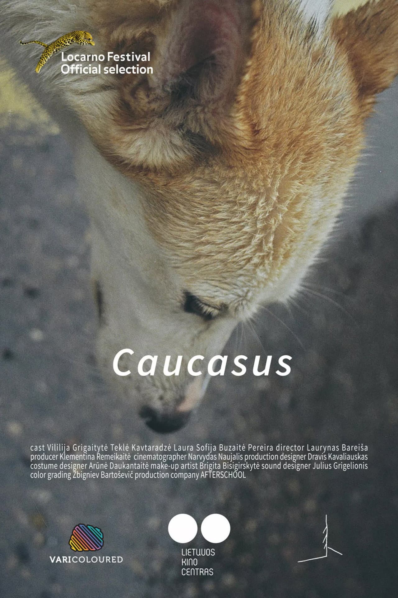 Caucasus preview 2
