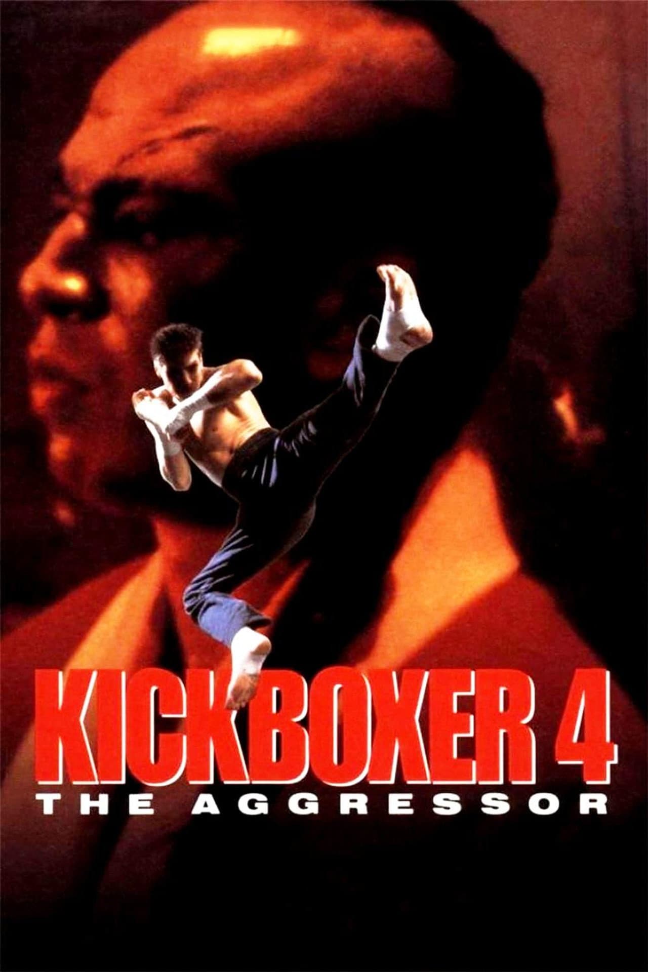 Kickboxer 4: The Aggressor preview 2