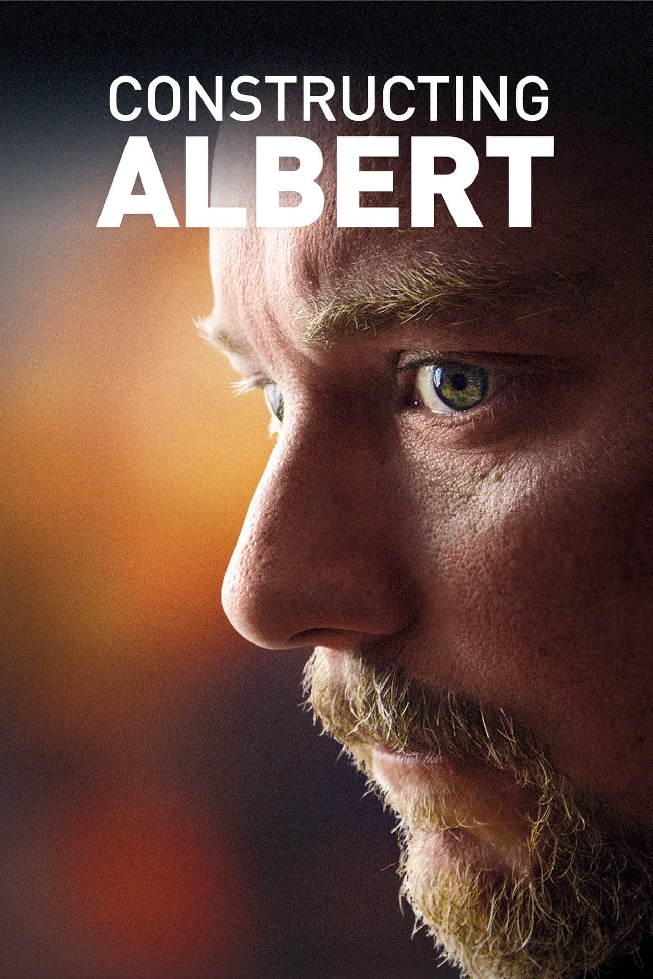 Constructing Albert preview 2