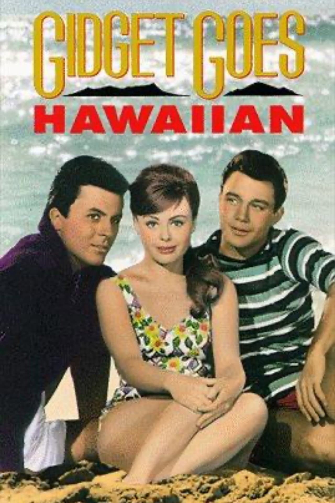 Gidget Goes Hawaiian preview 2