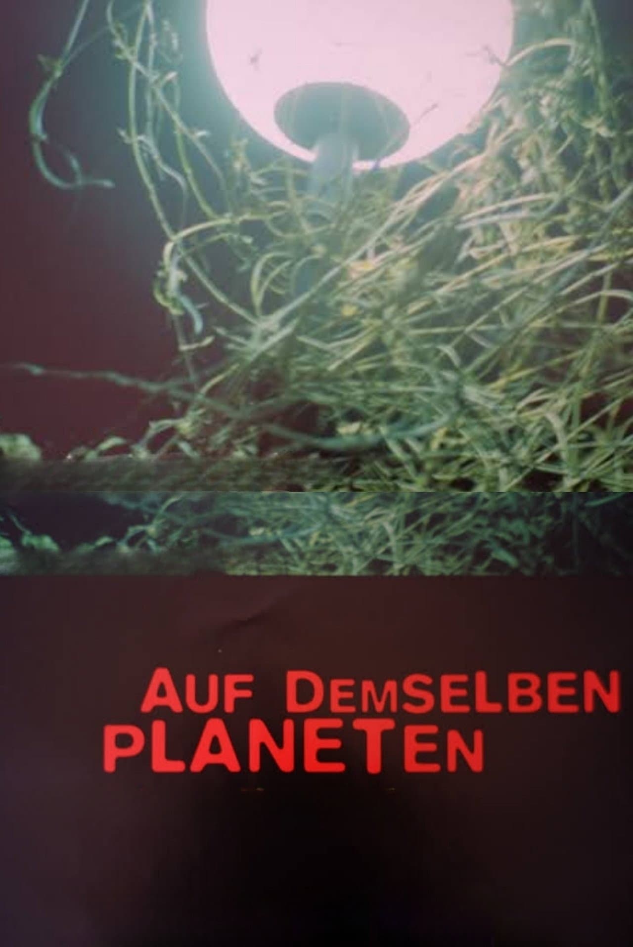 Auf demselben Planeten preview 2