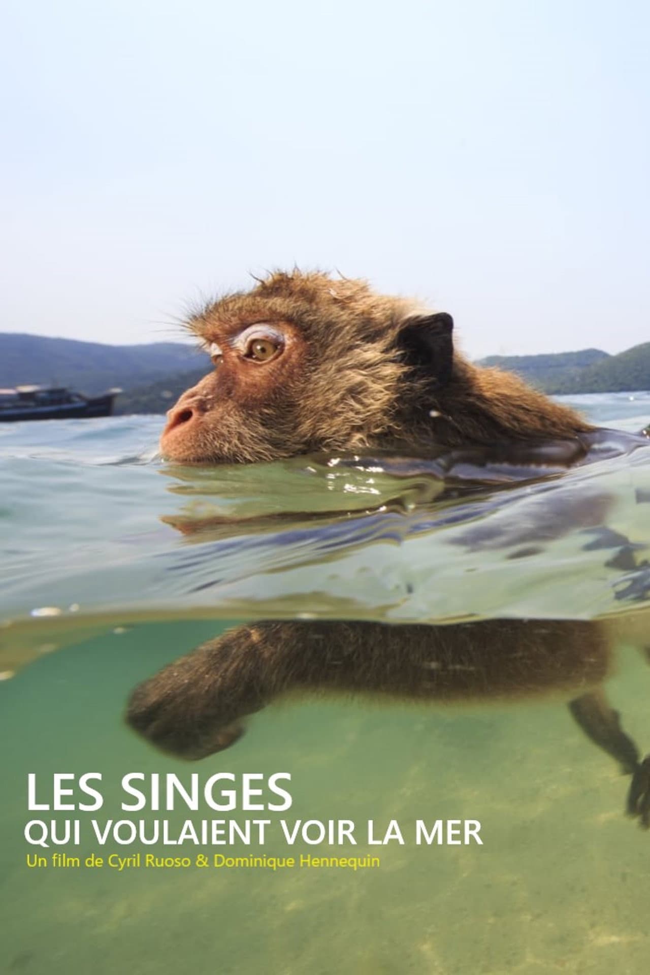 Les singes qui voulaient voir la mer preview 2