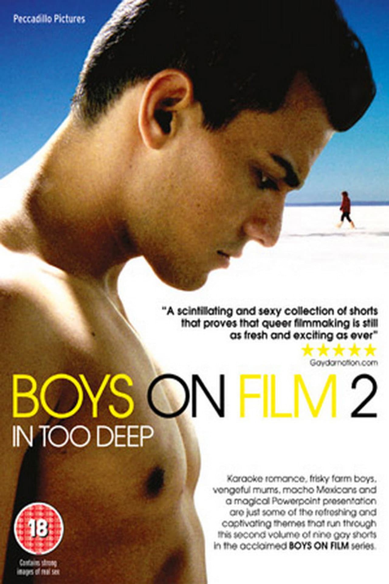 Boys On Film 2: In Too Deep preview 2