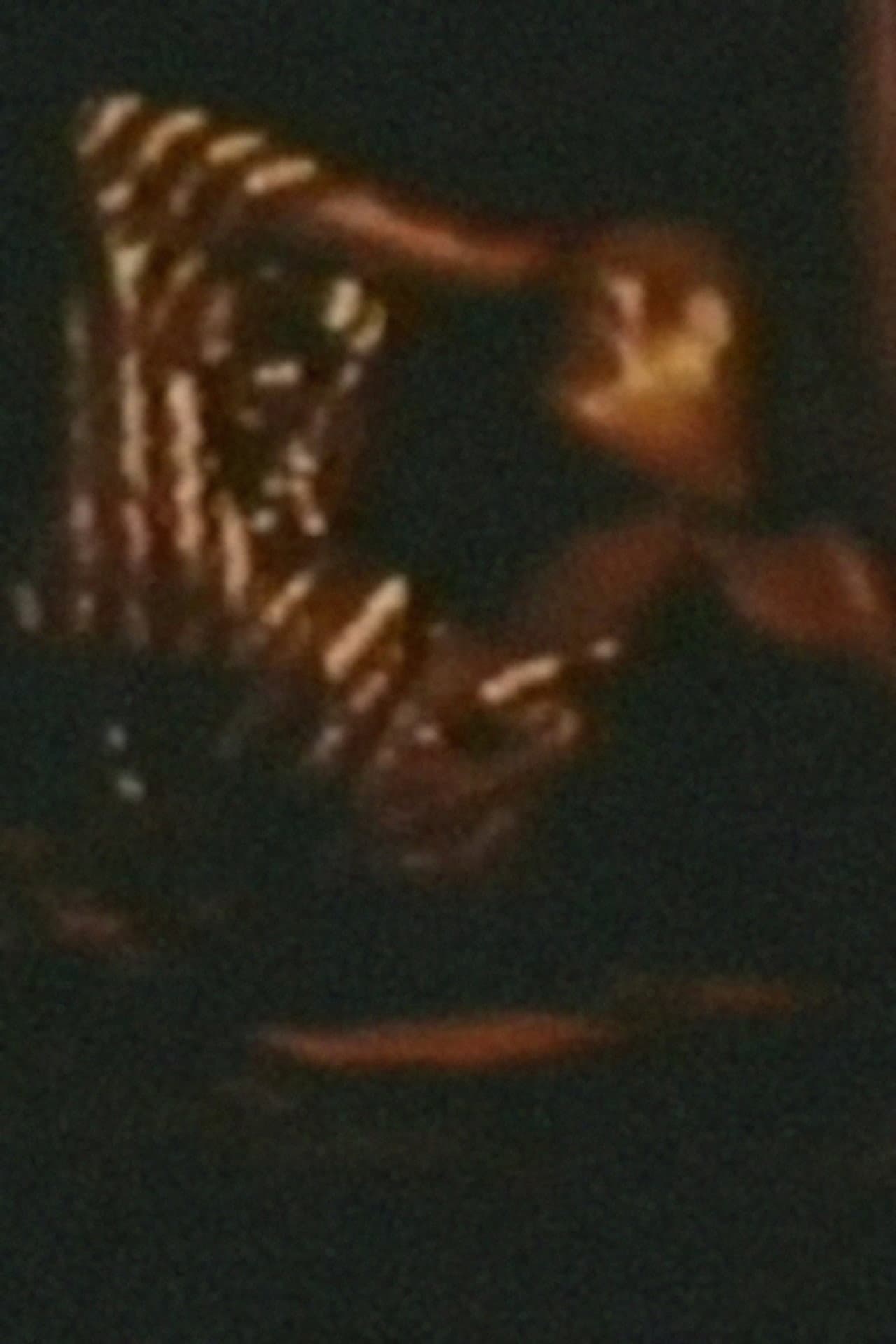 Song 1 preview 1