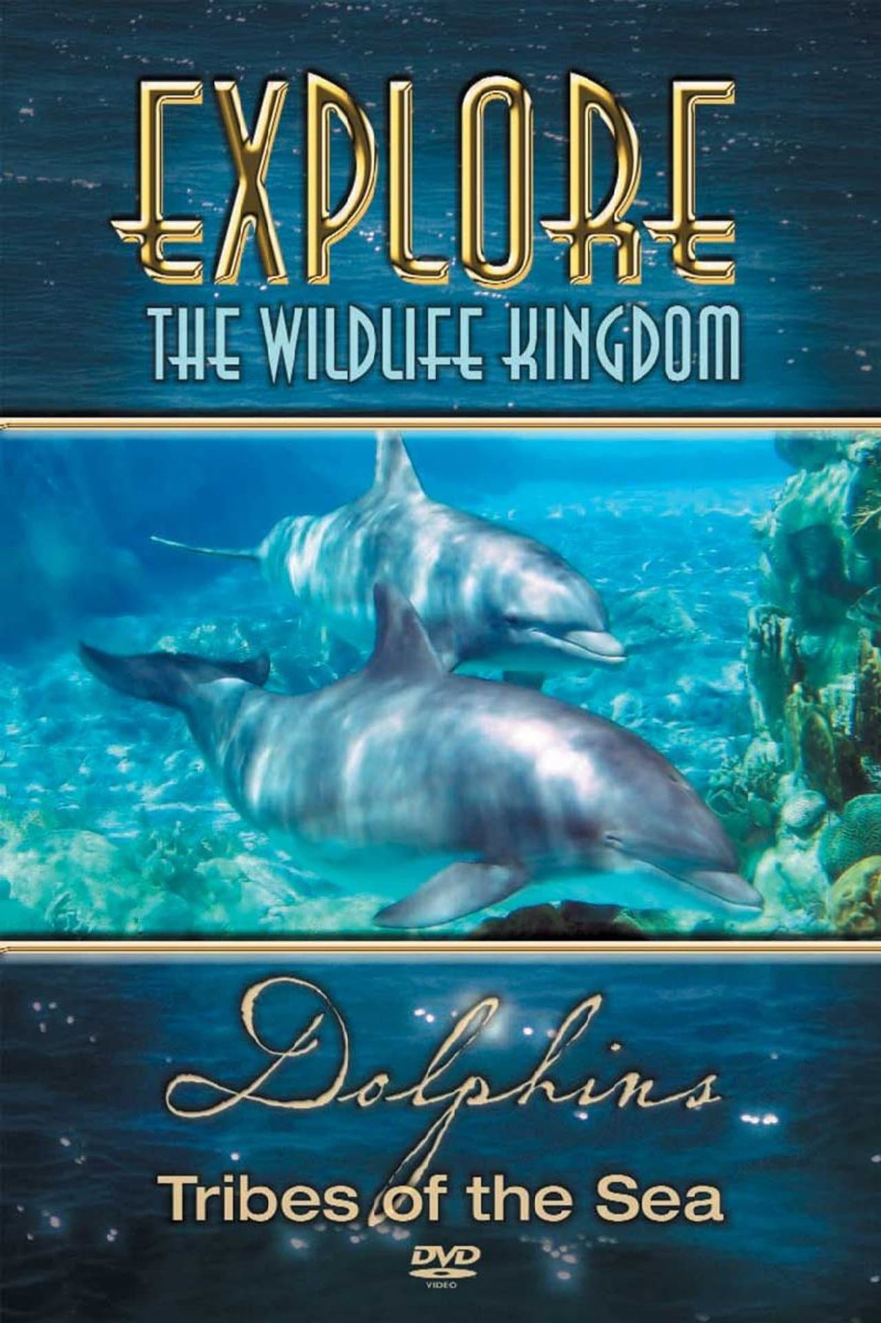 Explore the Wildlife Kingdom: Dolphins - Tribes of the Sea preview 1