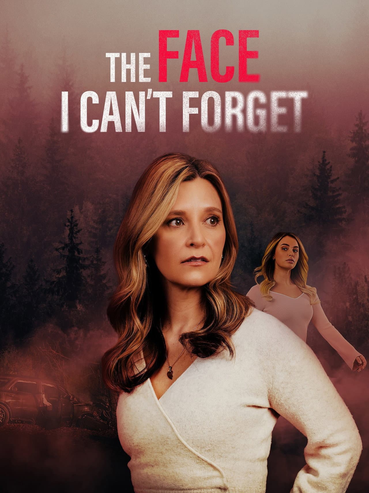 The Face I Can't Forget preview 2