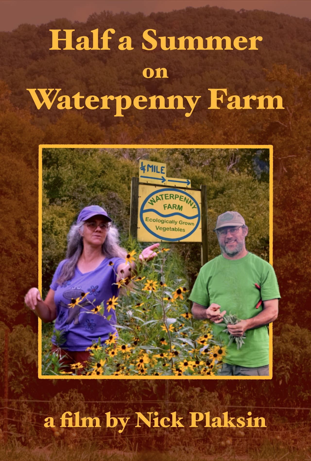 Half a Summer on Waterpenny Farm preview 2