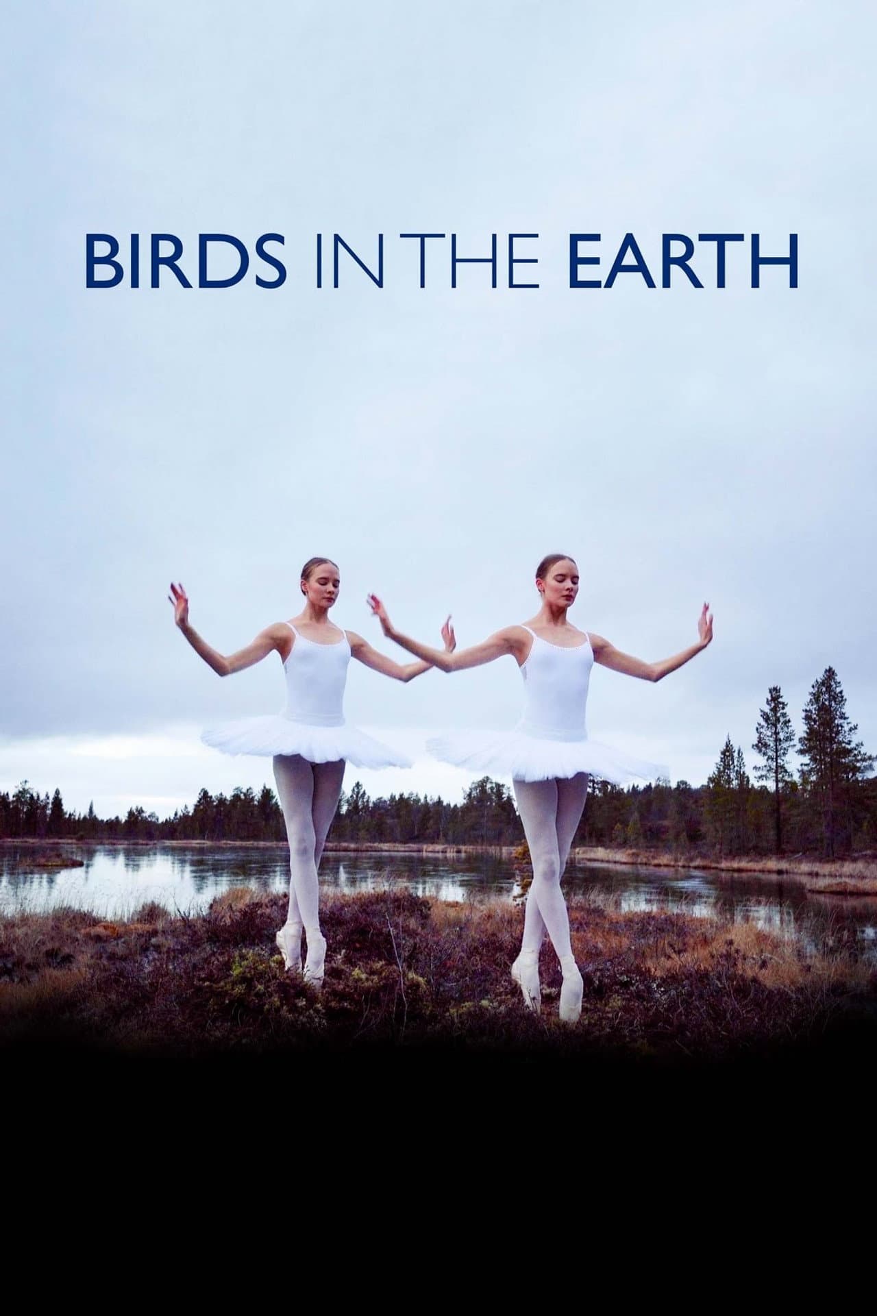 Birds in the Earth preview 2