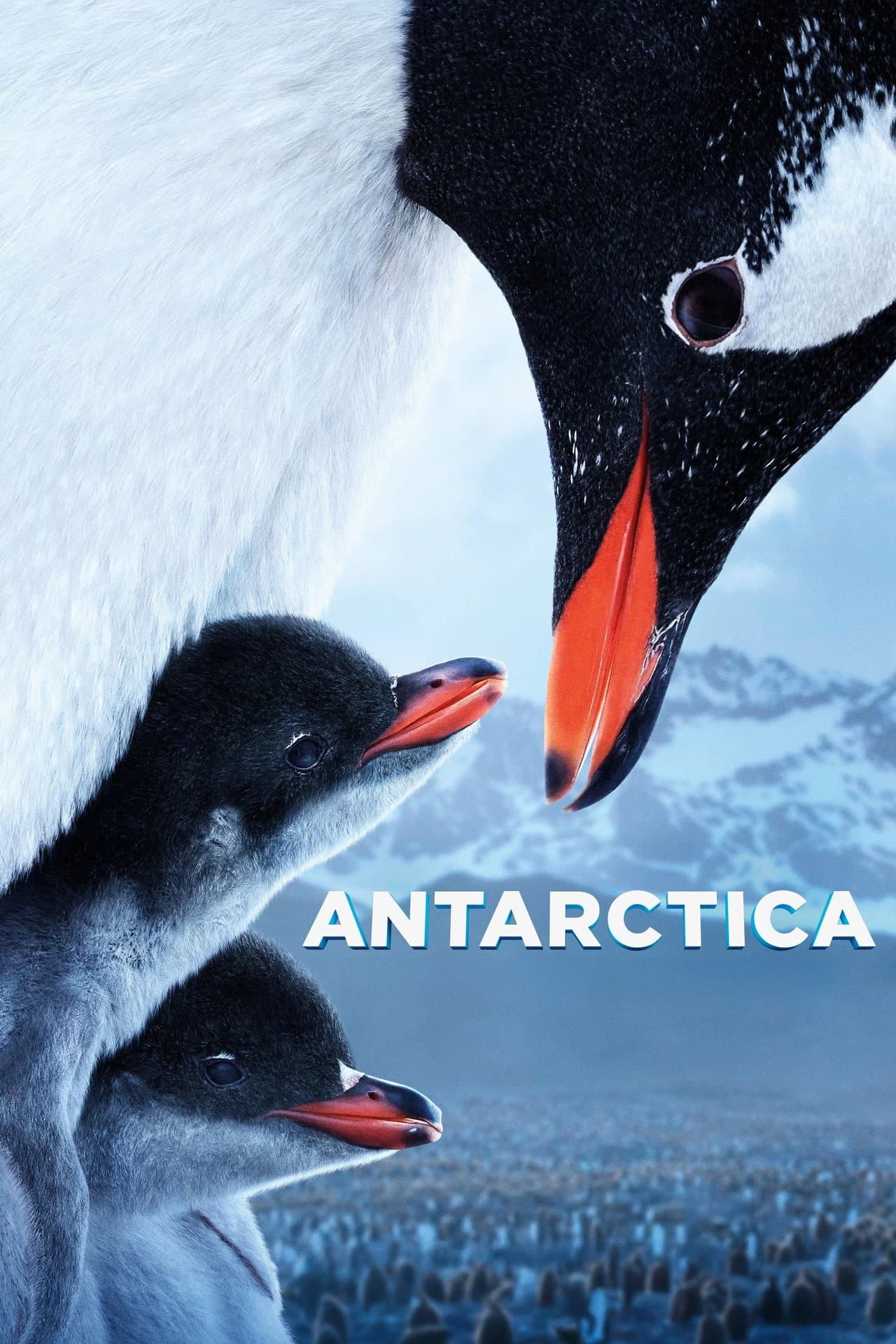 Antarctica preview 2