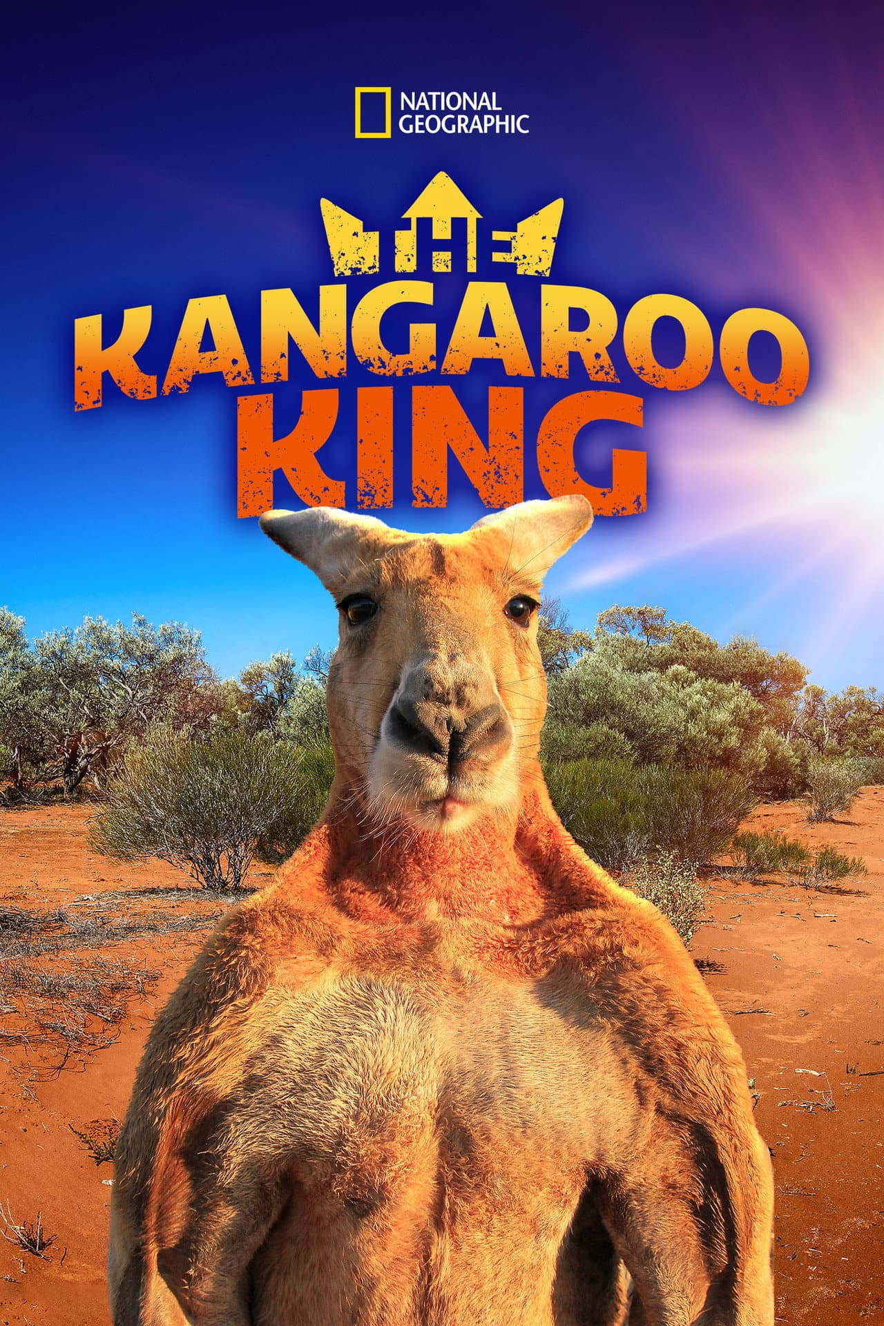 The Kangaroo King preview 2