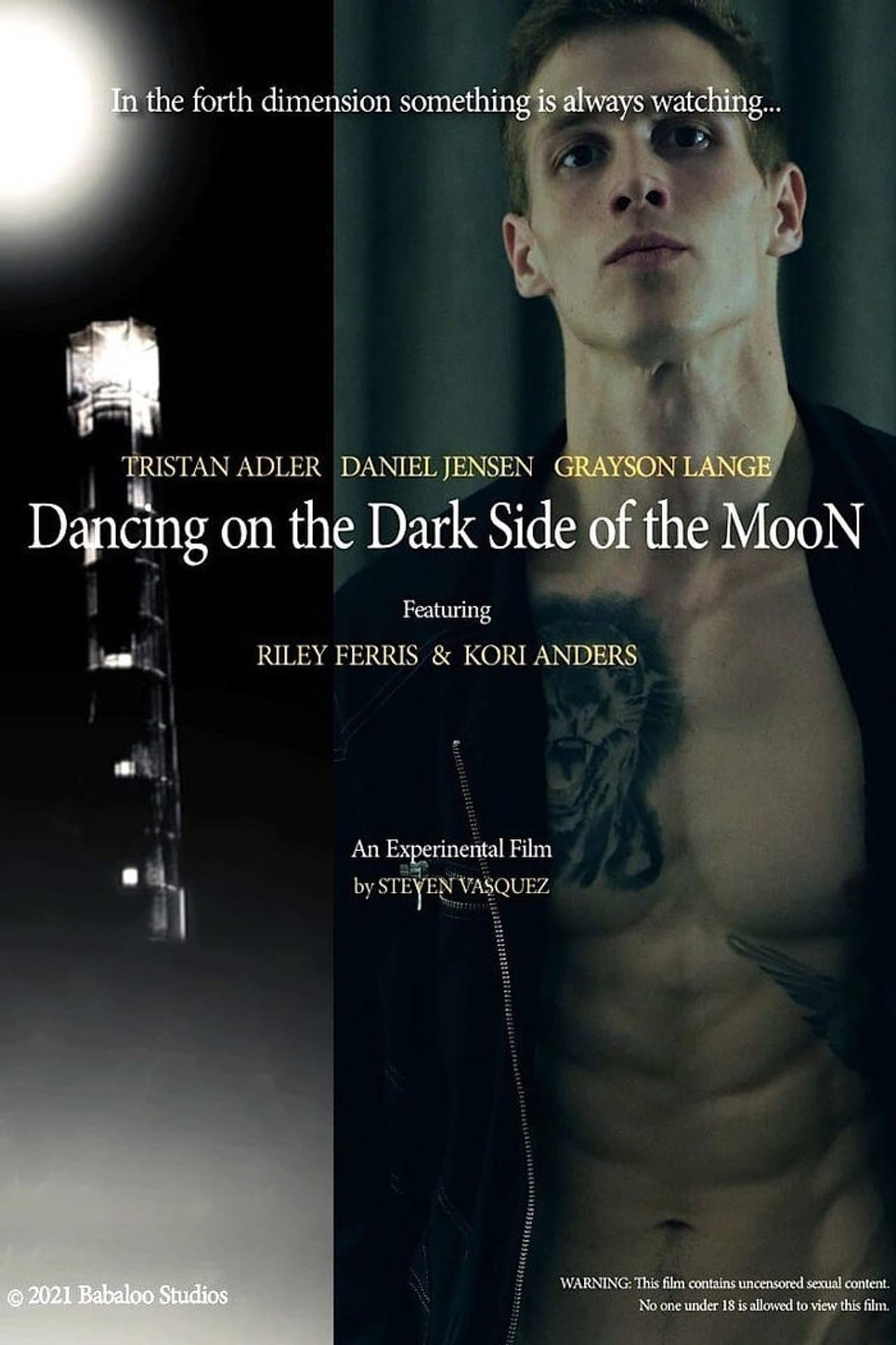 Dancing on the Dark Side of the Moon preview 2