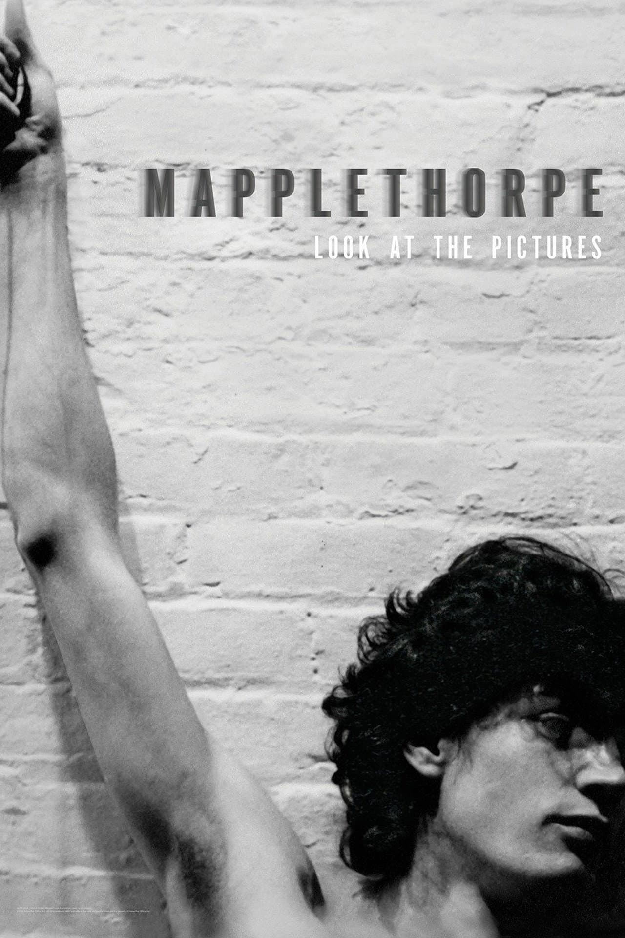 Mapplethorpe: Look at the Pictures preview 2