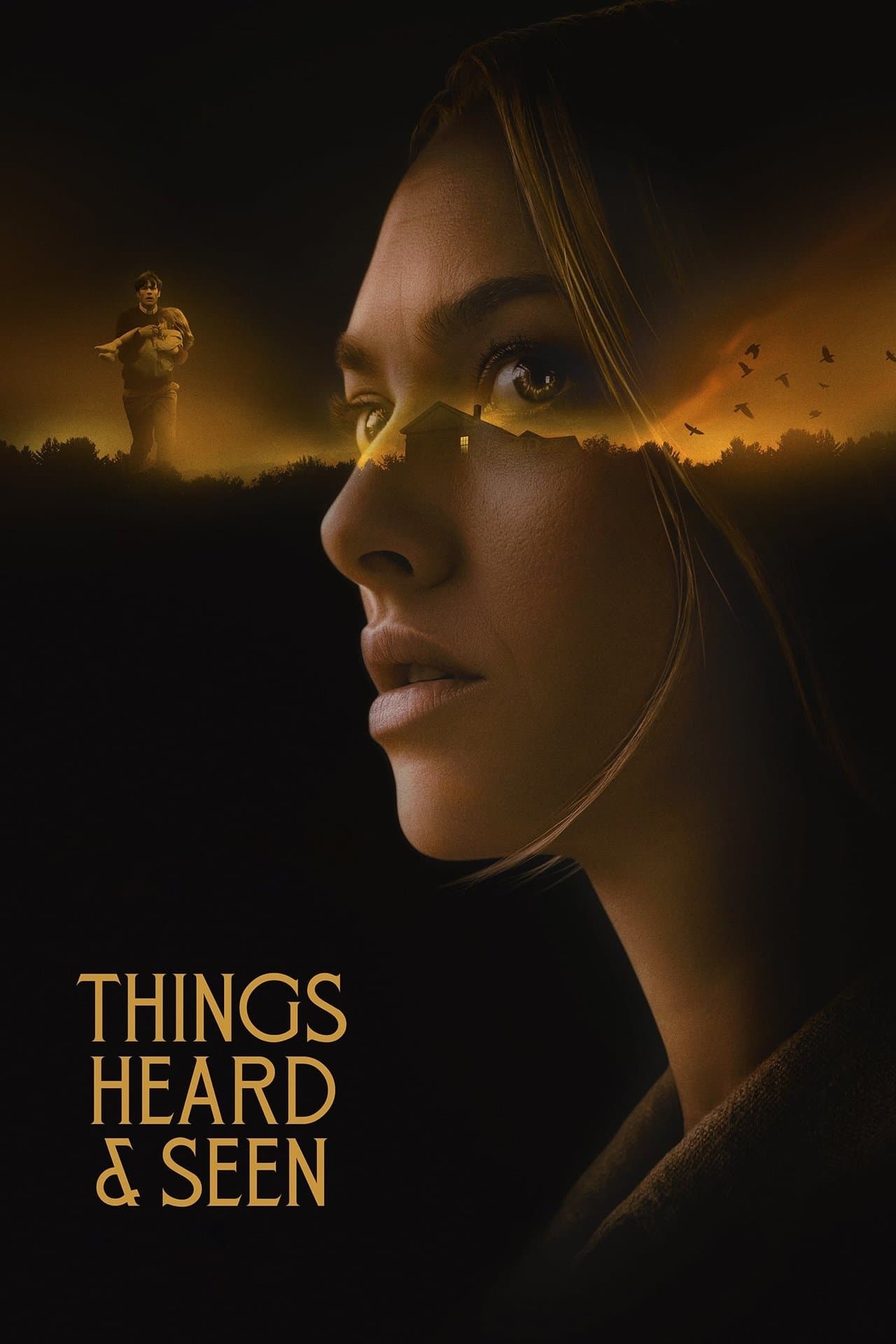 Things Heard & Seen preview 2