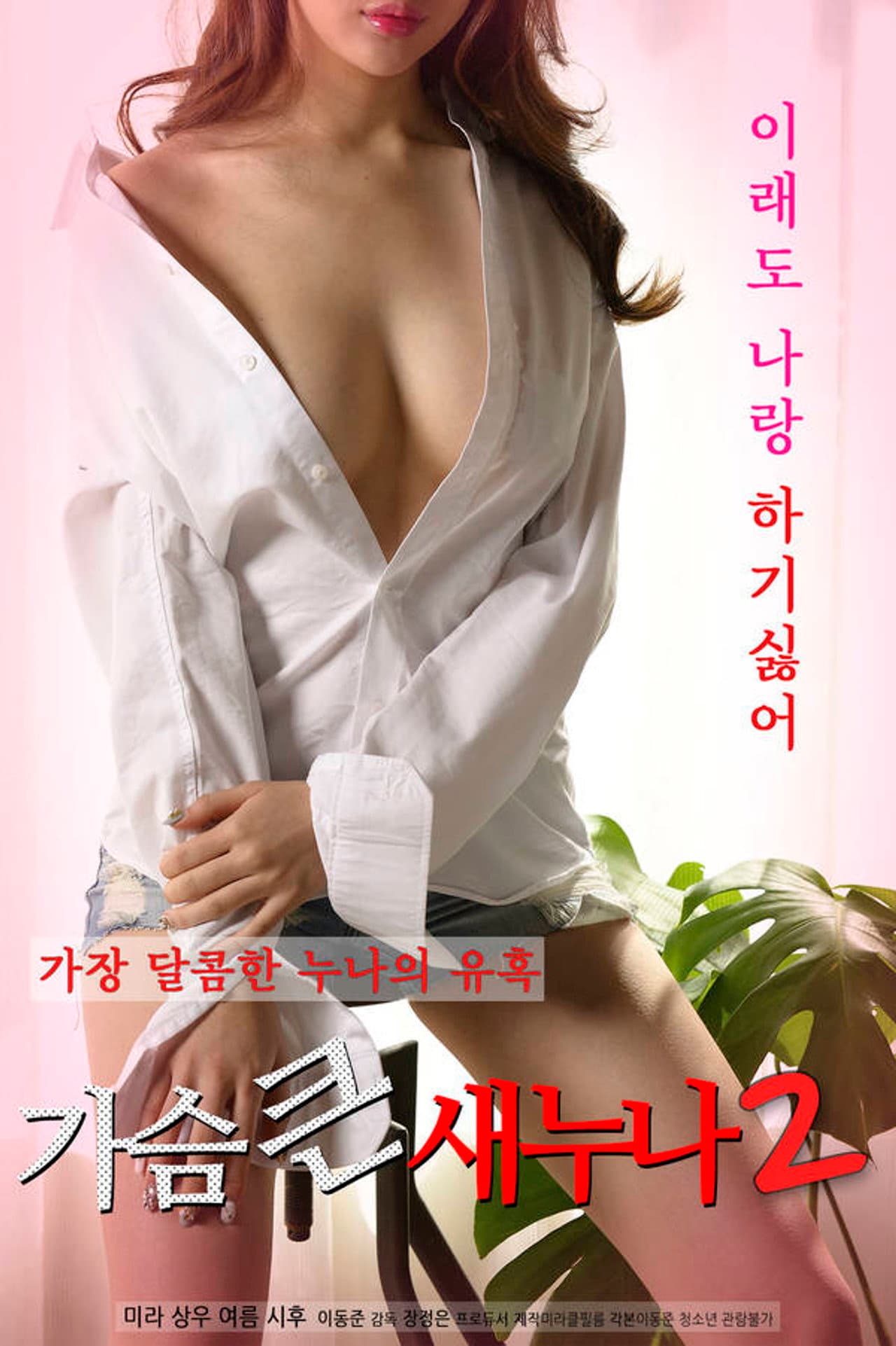 Big Breasts Sister 2 preview 1