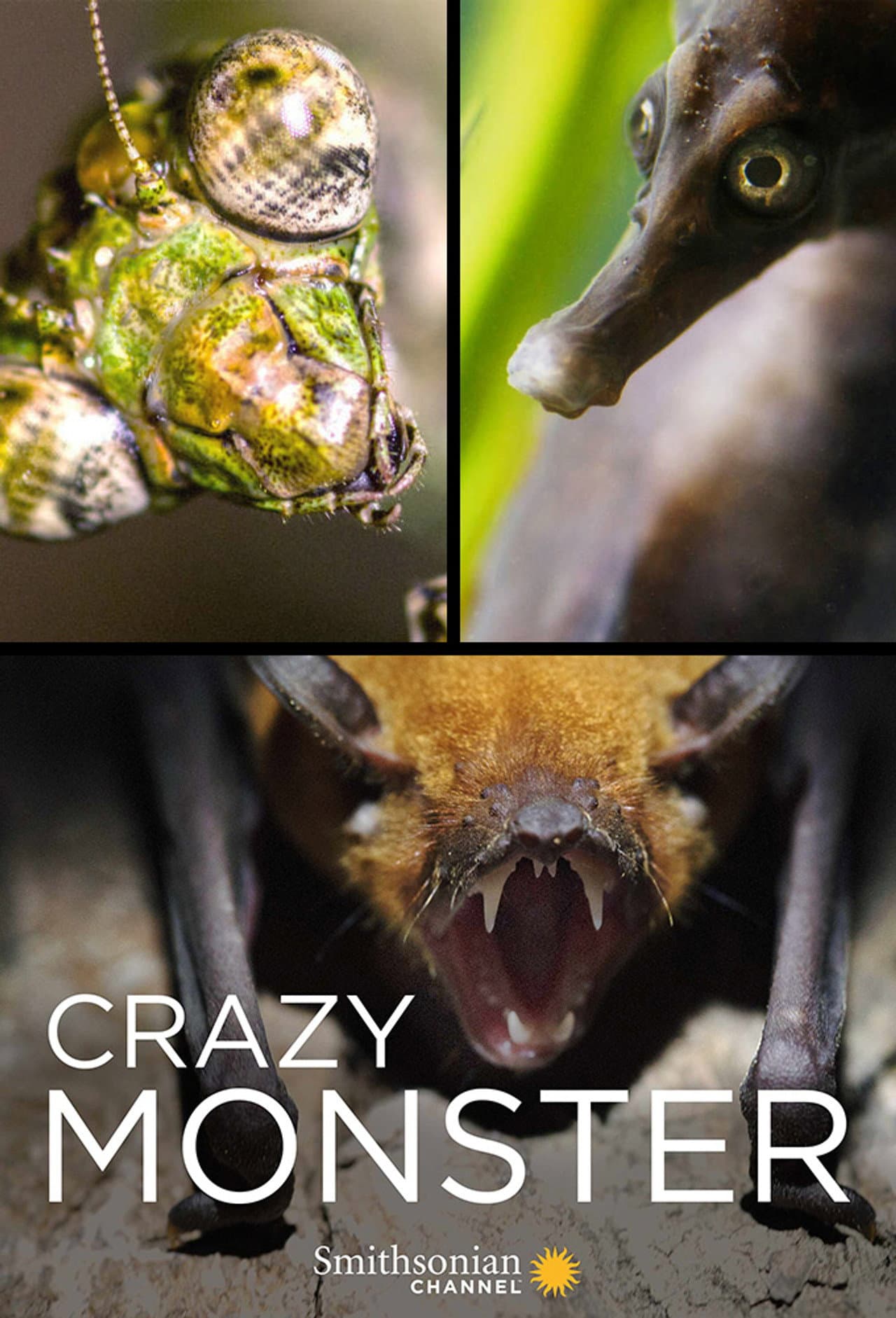 Crazy Monster preview 2