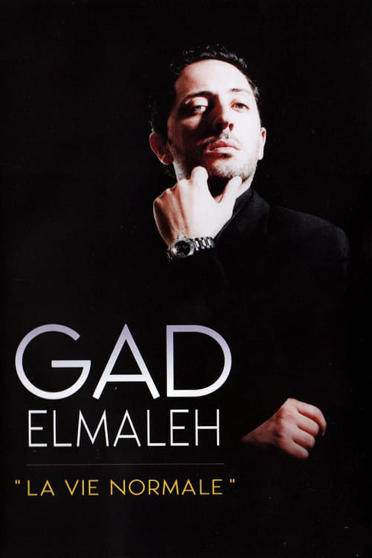Gad Elmaleh - La Vie normale preview 2