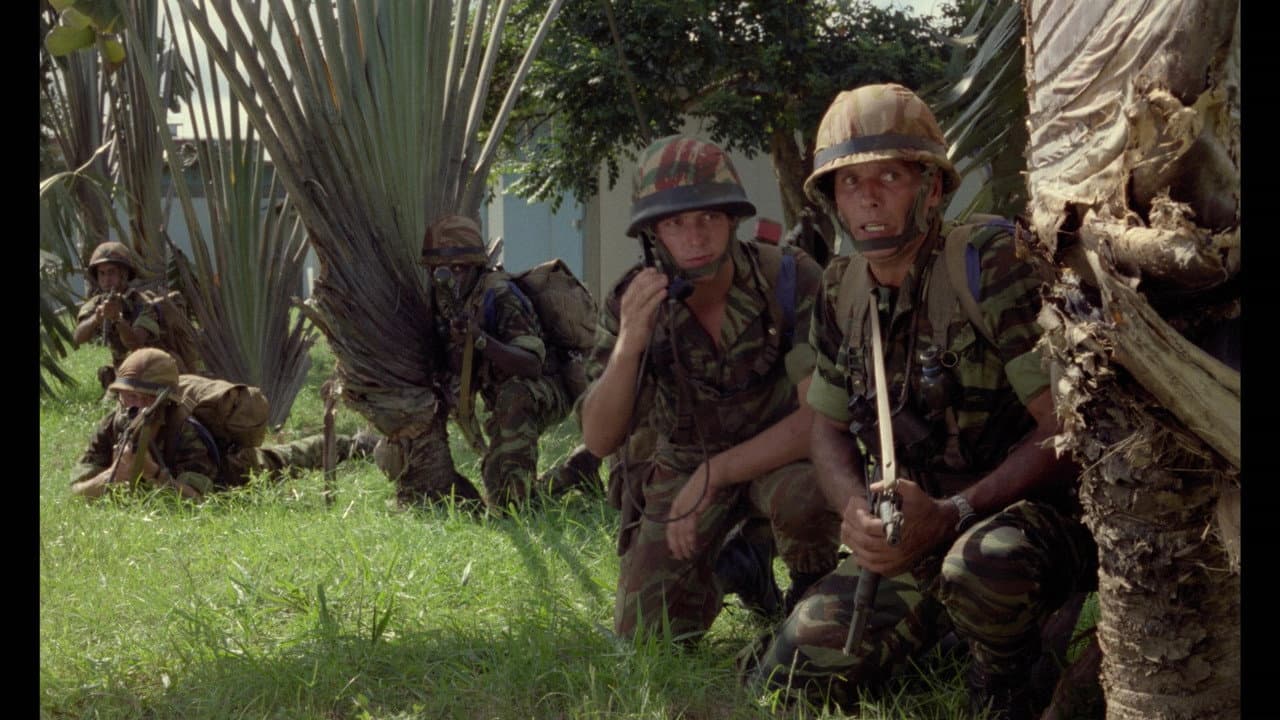 Operation Leopard