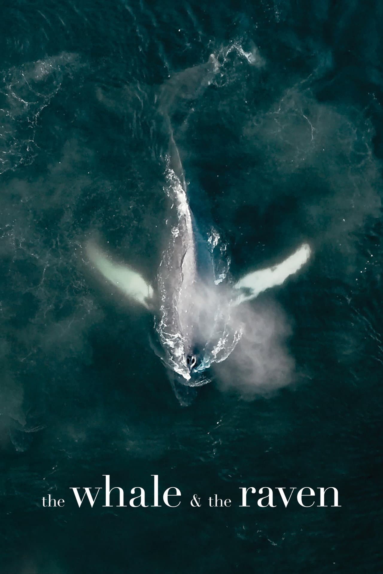 The Whale and the Raven preview 2