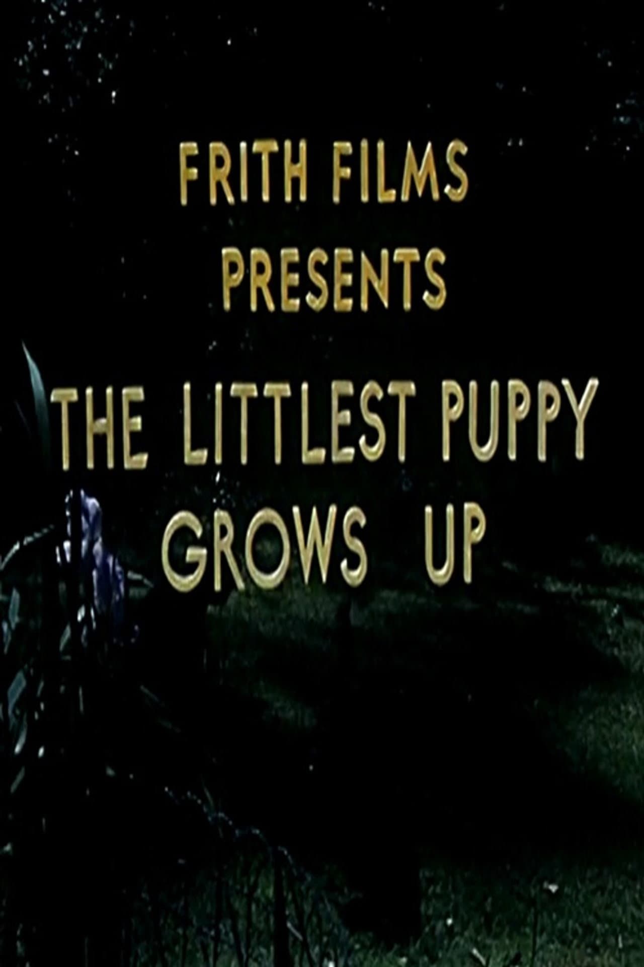 The Littlest Puppy Grows Up preview 2