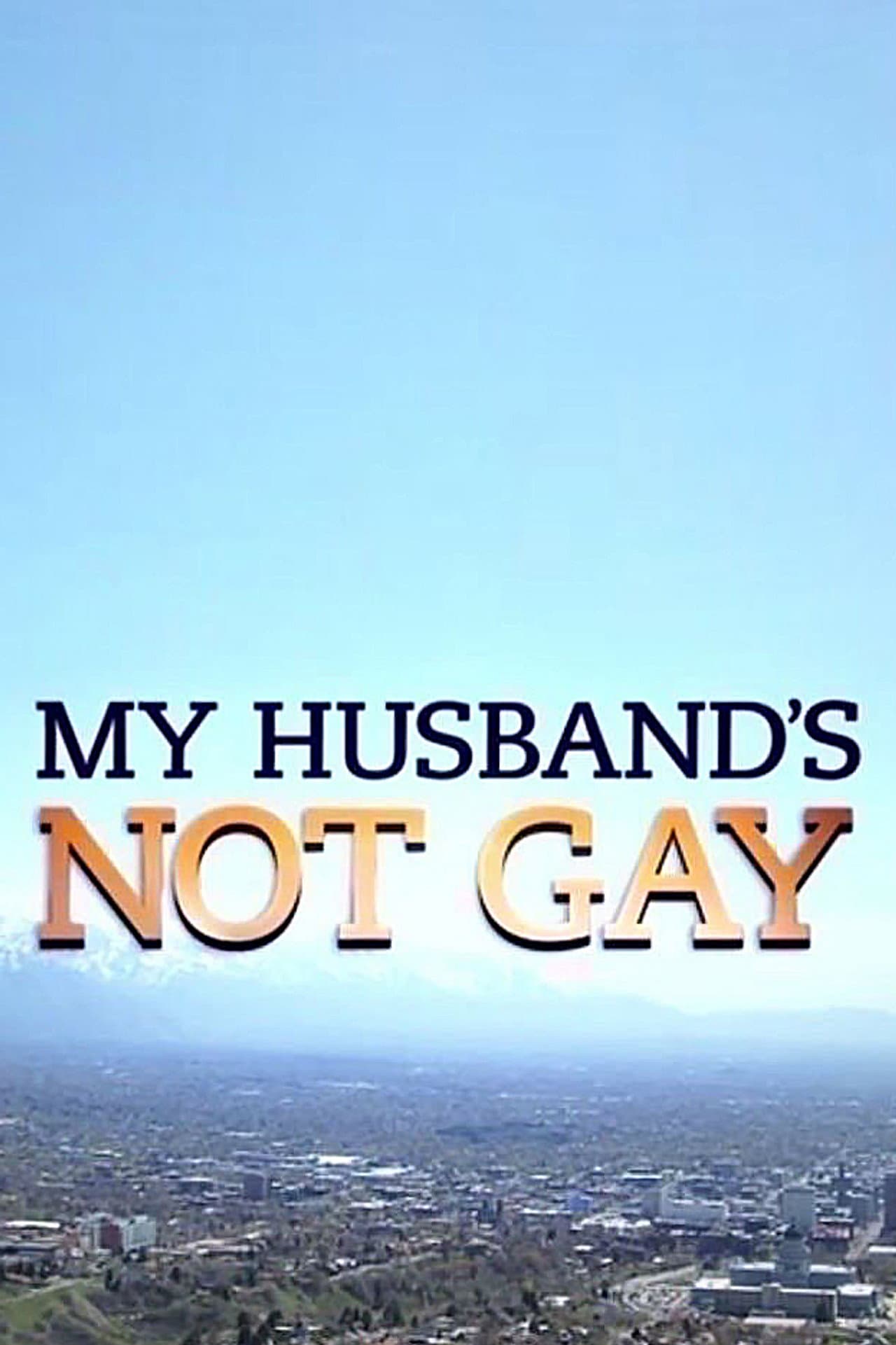 My Husband's Not Gay preview 2