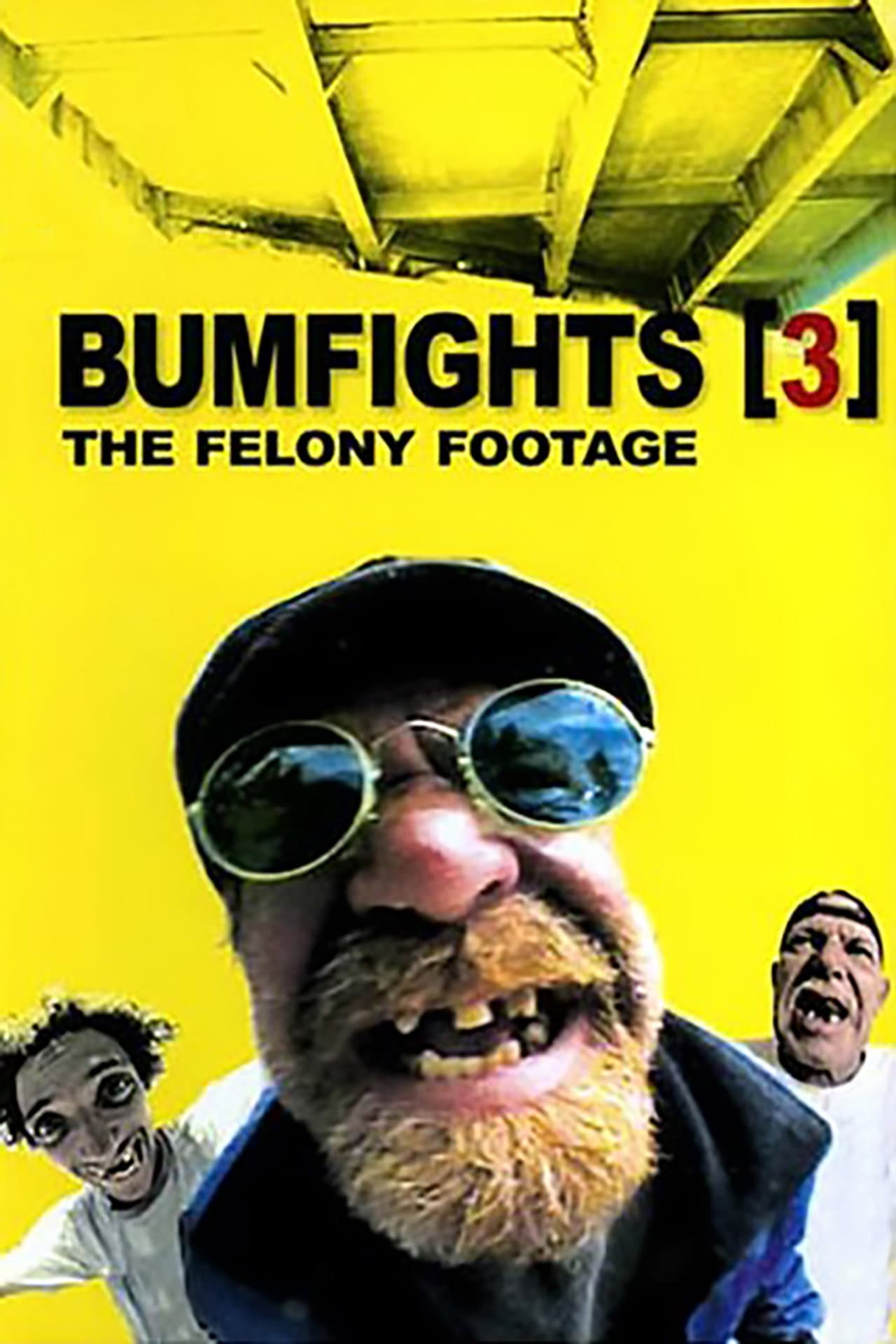 Bumfights Vol. 3: The Felony Footage preview 2