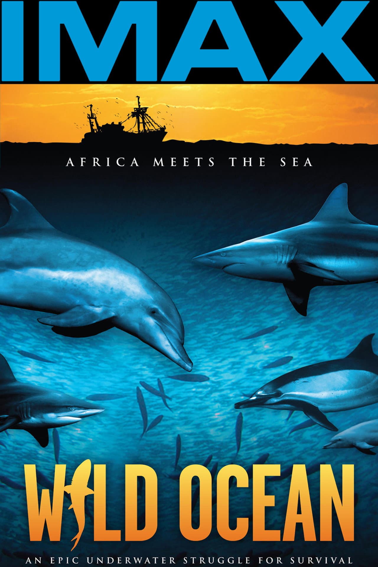 Wild Ocean preview 2