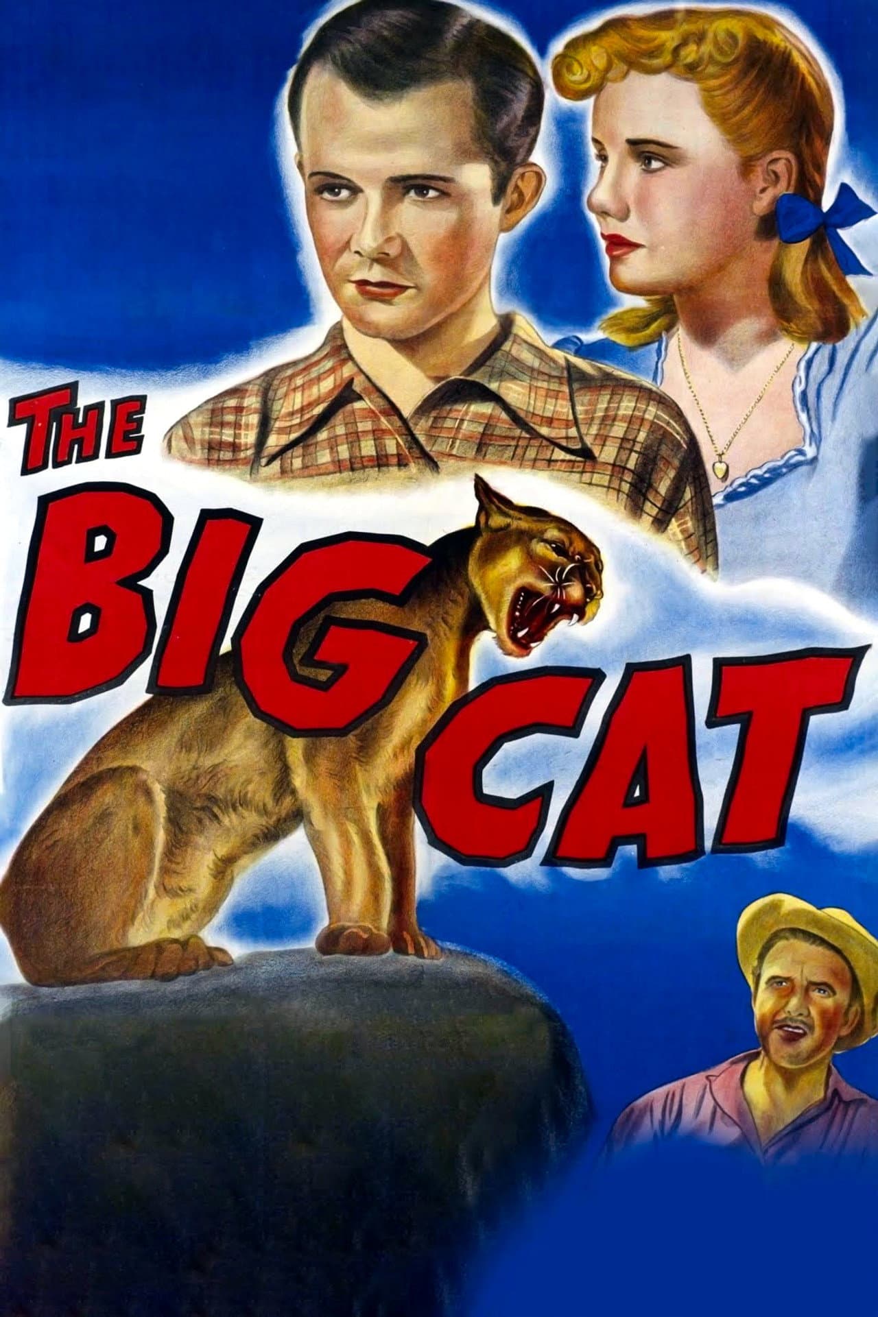 The Big Cat preview 2