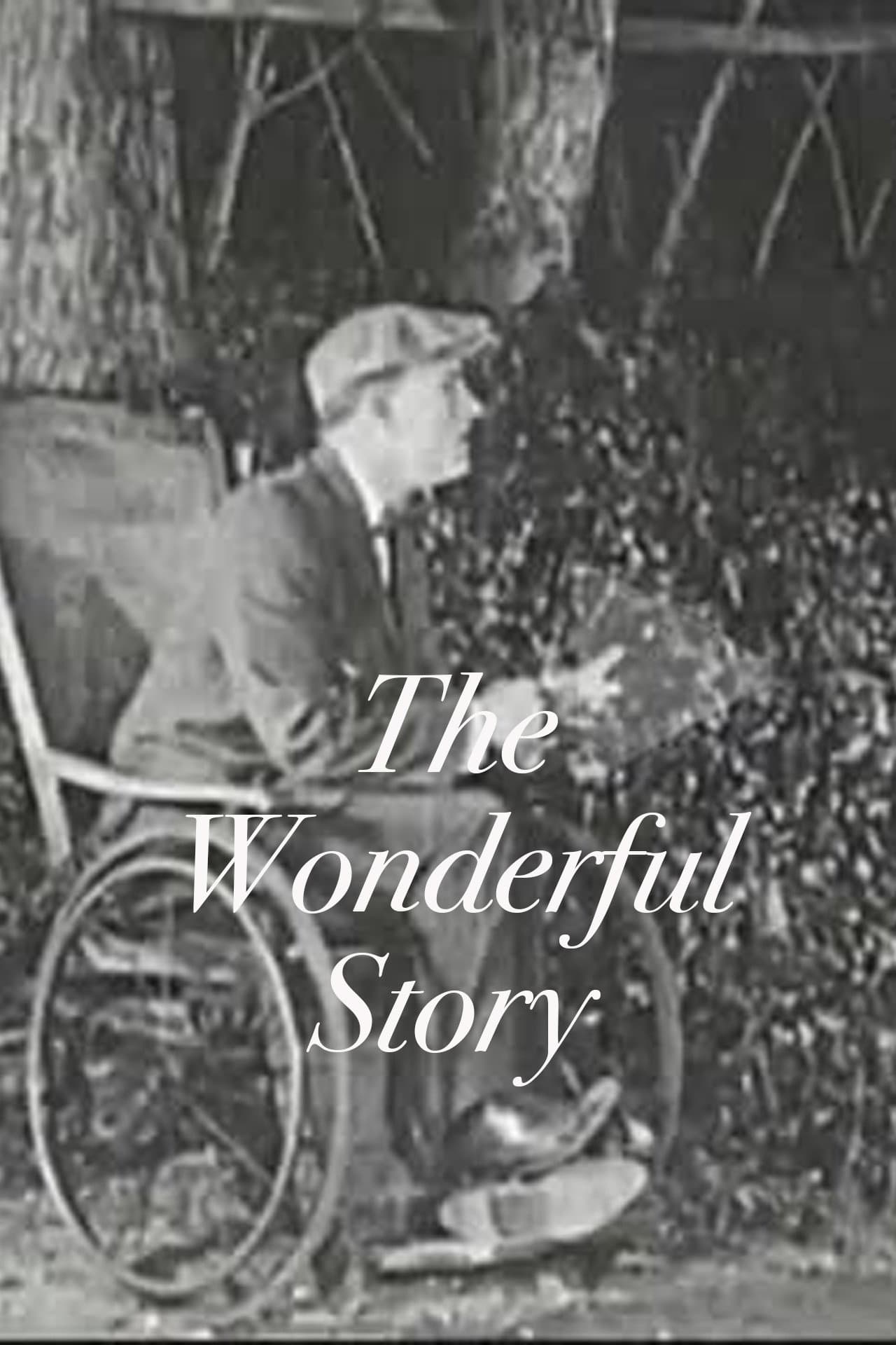 The Wonderful Story preview 1
