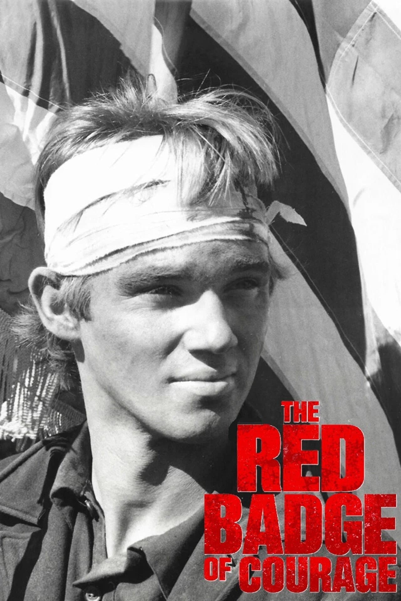 The Red Badge of Courage preview 1