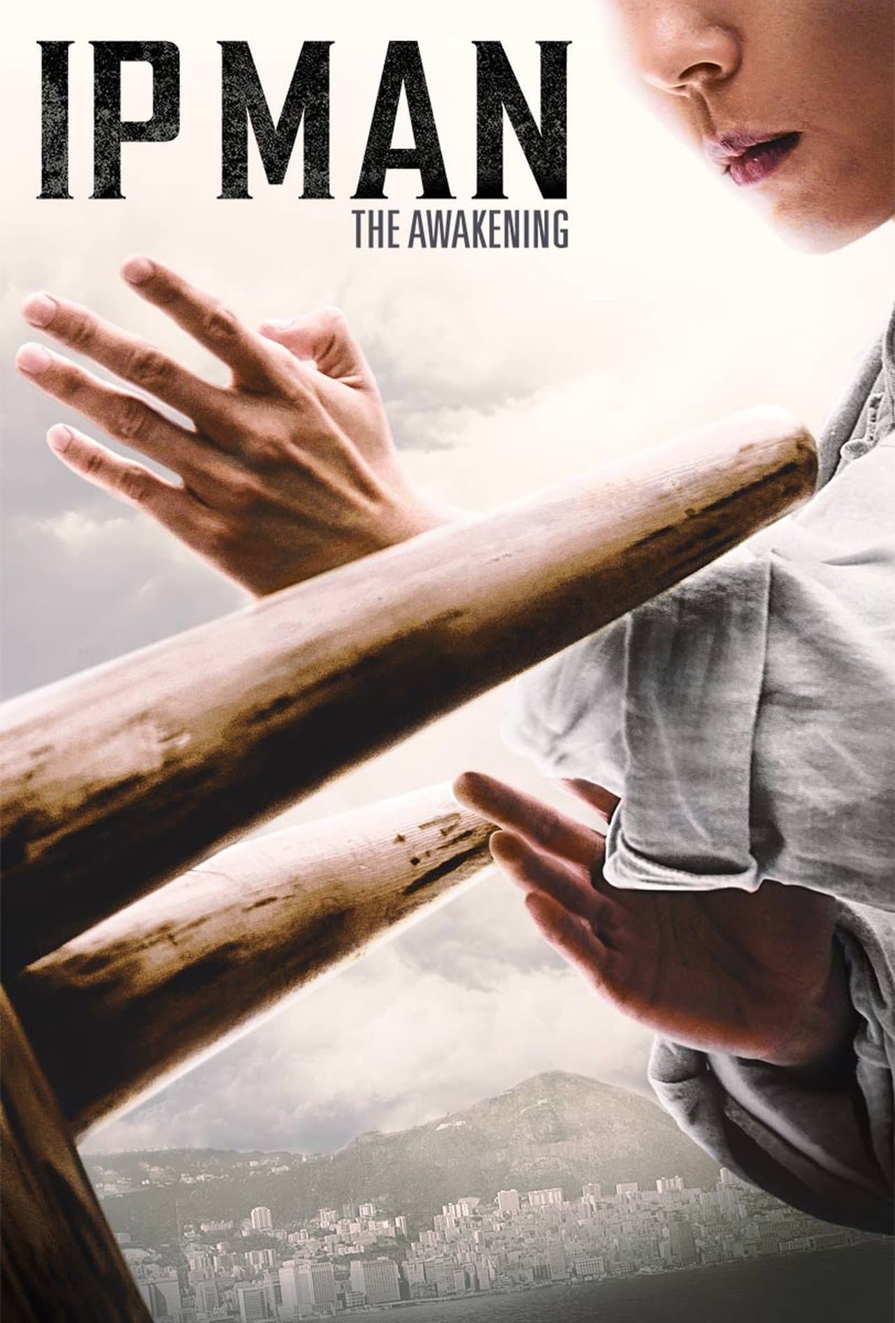 Ip Man: The Awakening preview 2