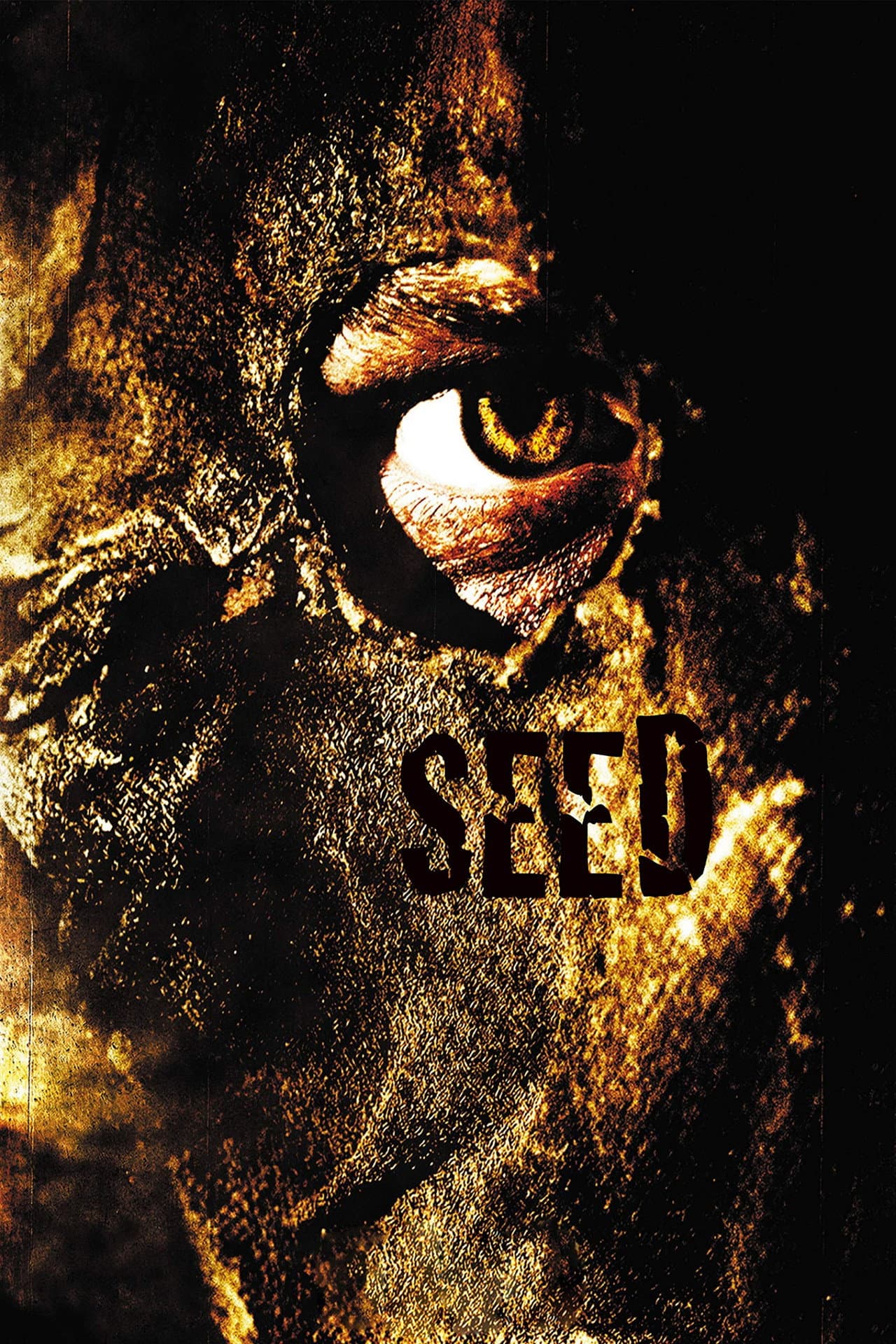 Seed preview 2