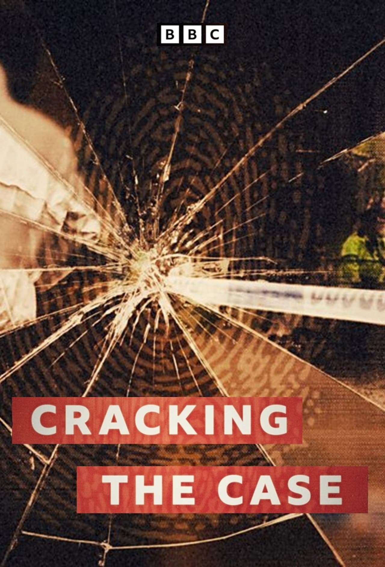 Cracking The Case preview 2