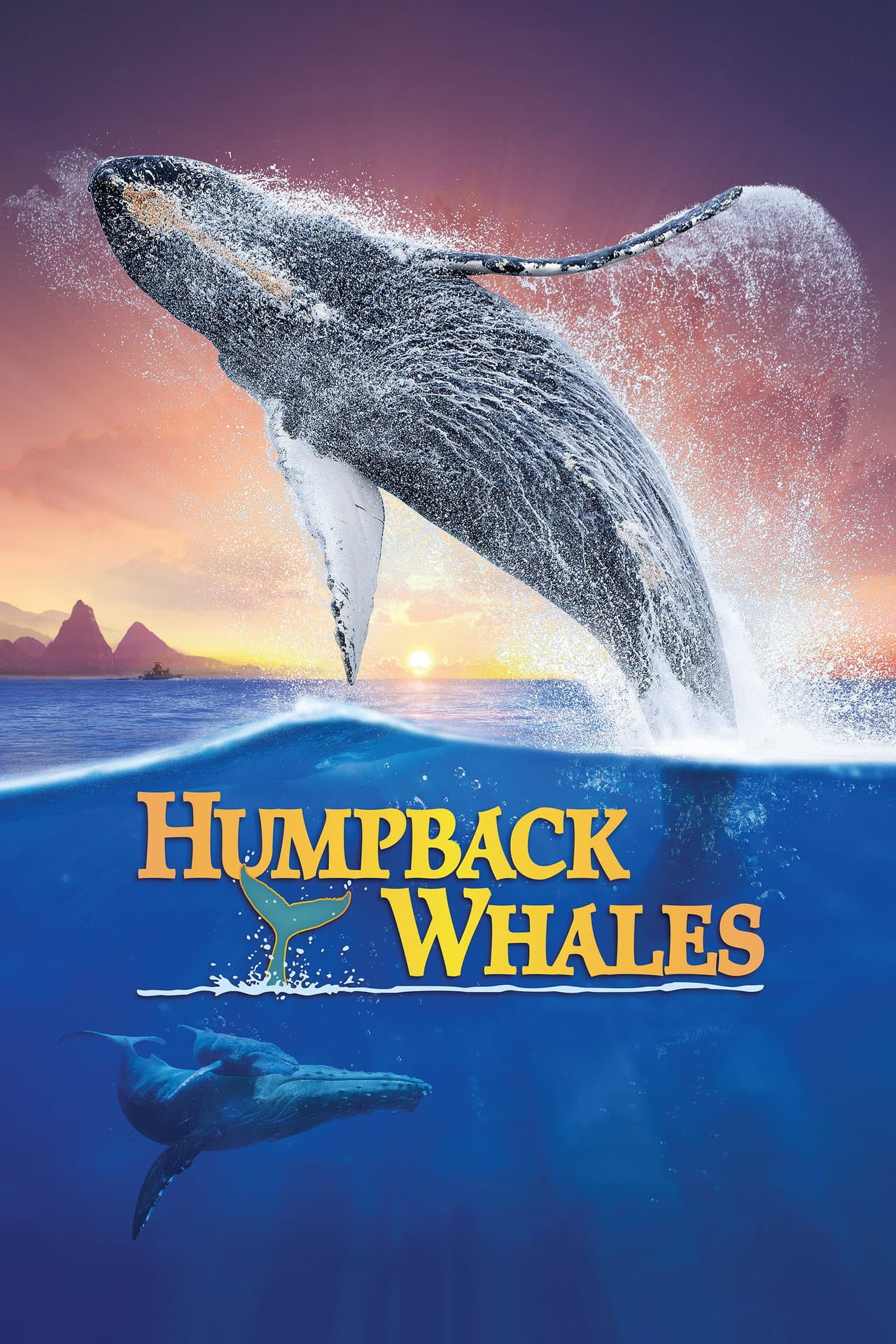 Humpback Whales preview 2