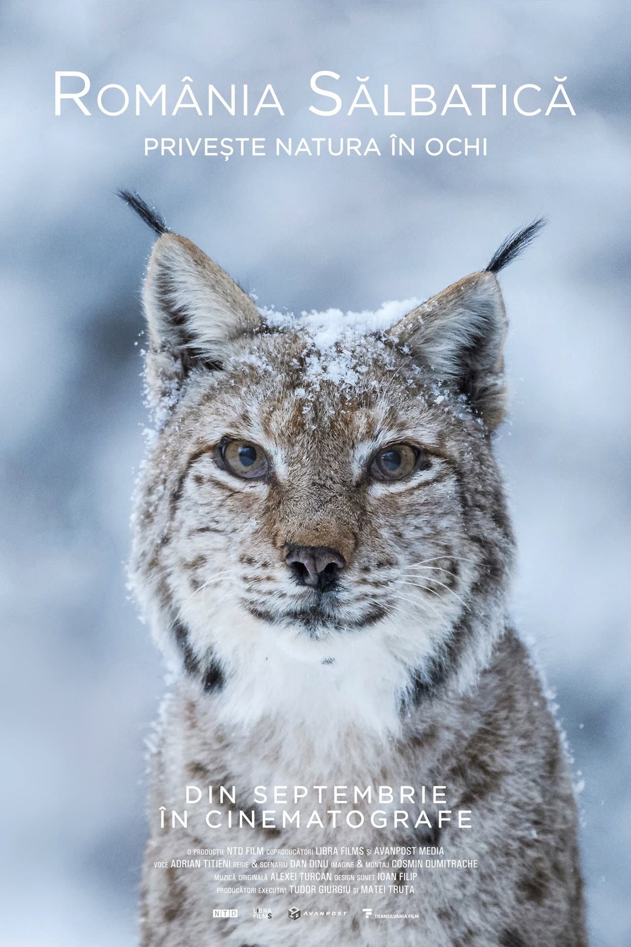 Wild Romania preview 2