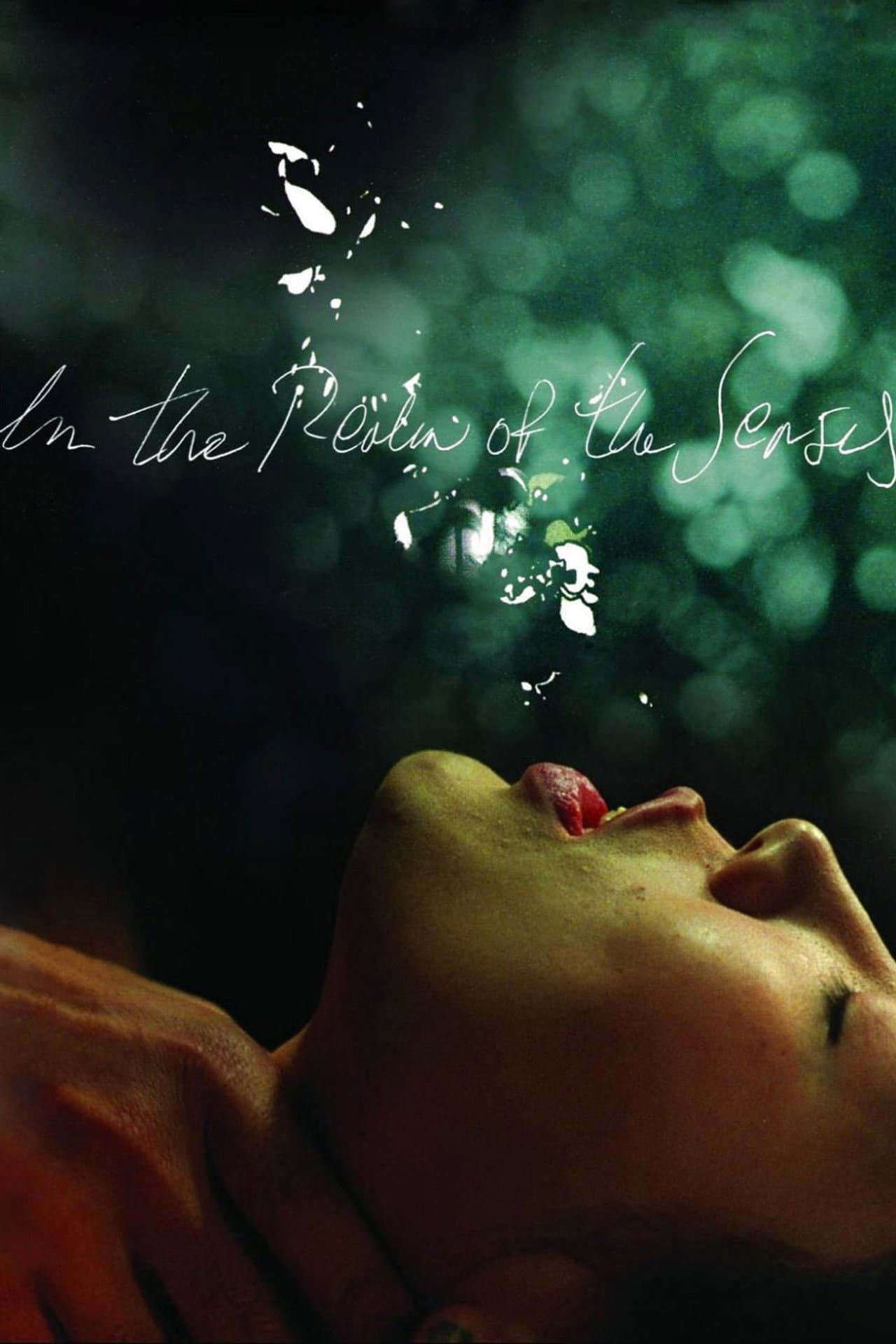 In the Realm of the Senses preview 2