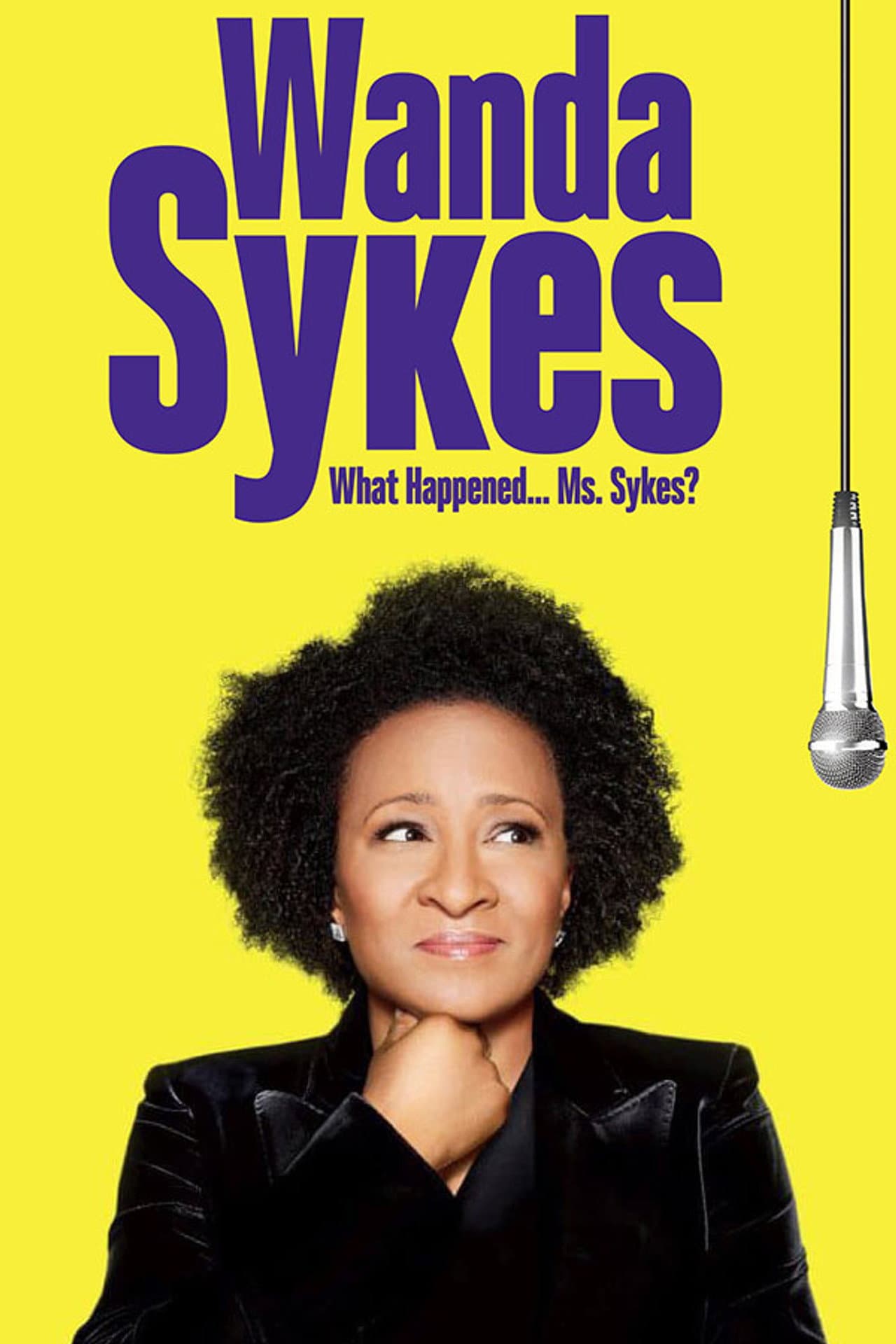 Wanda Sykes: What Happened… Ms. Sykes? preview 2