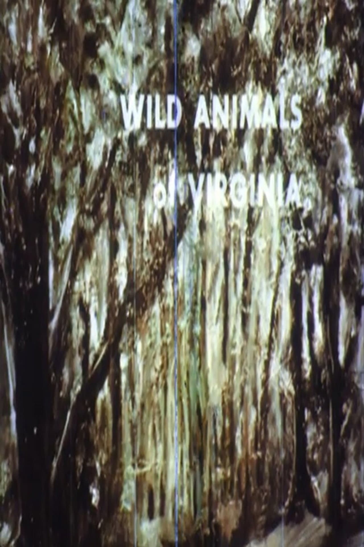 Wild Animals of Virginia preview 2