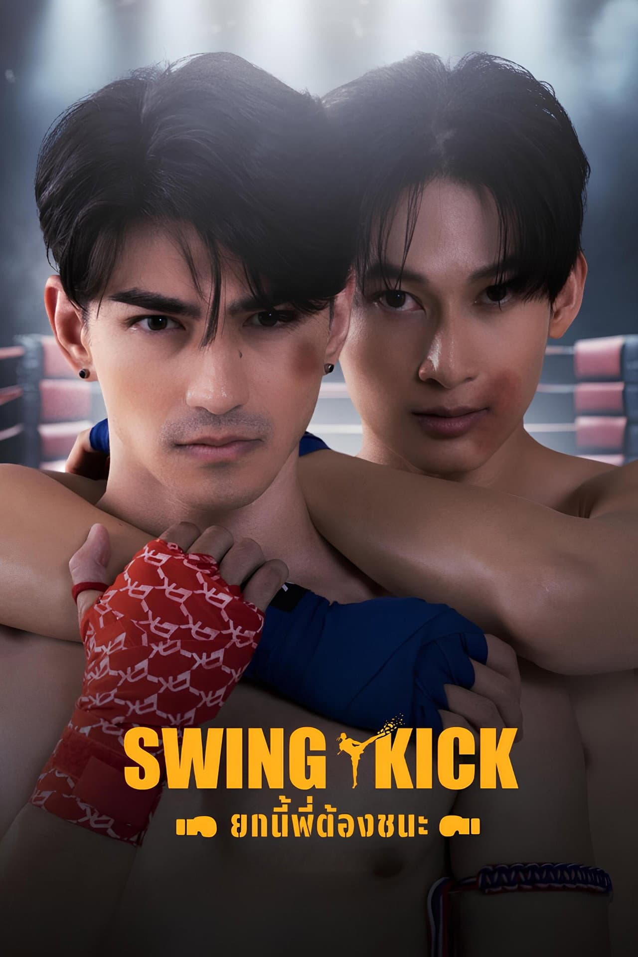 Swing Kick preview 1