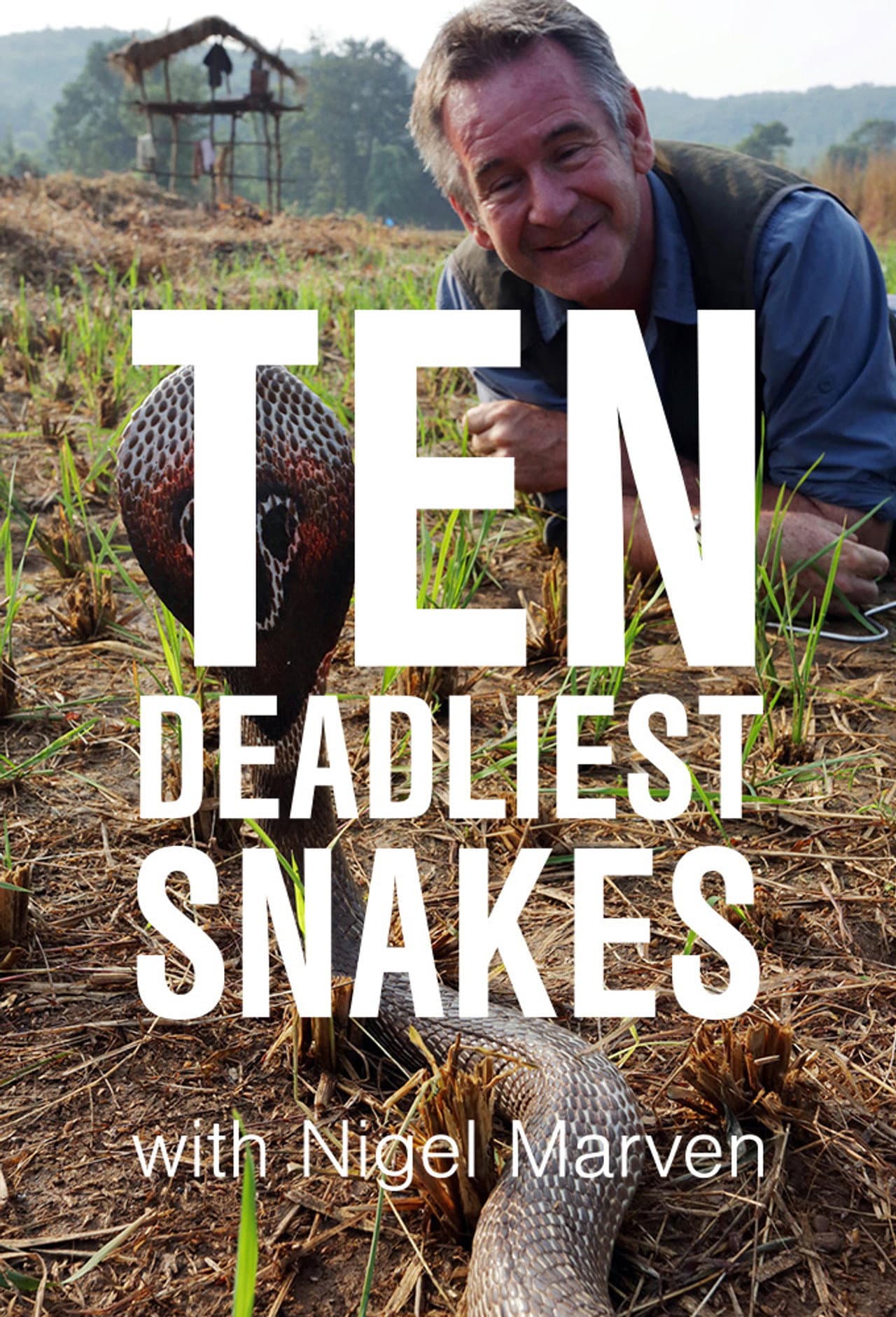 Ten Deadliest Snakes with Nigel Marven preview 2
