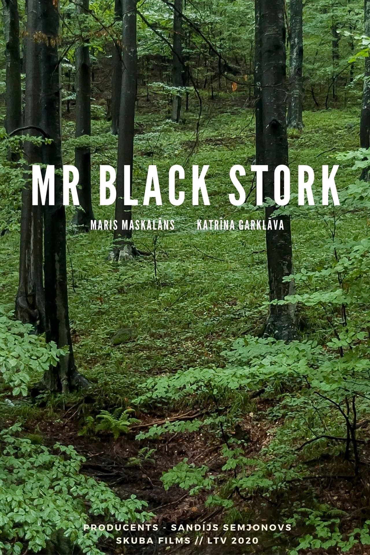 Mr Black Stork preview 1