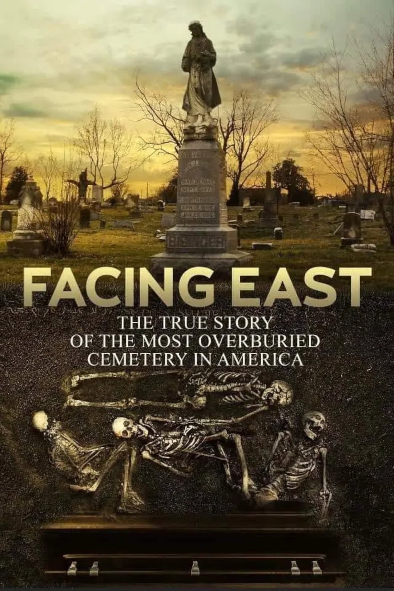 Facing East preview 1