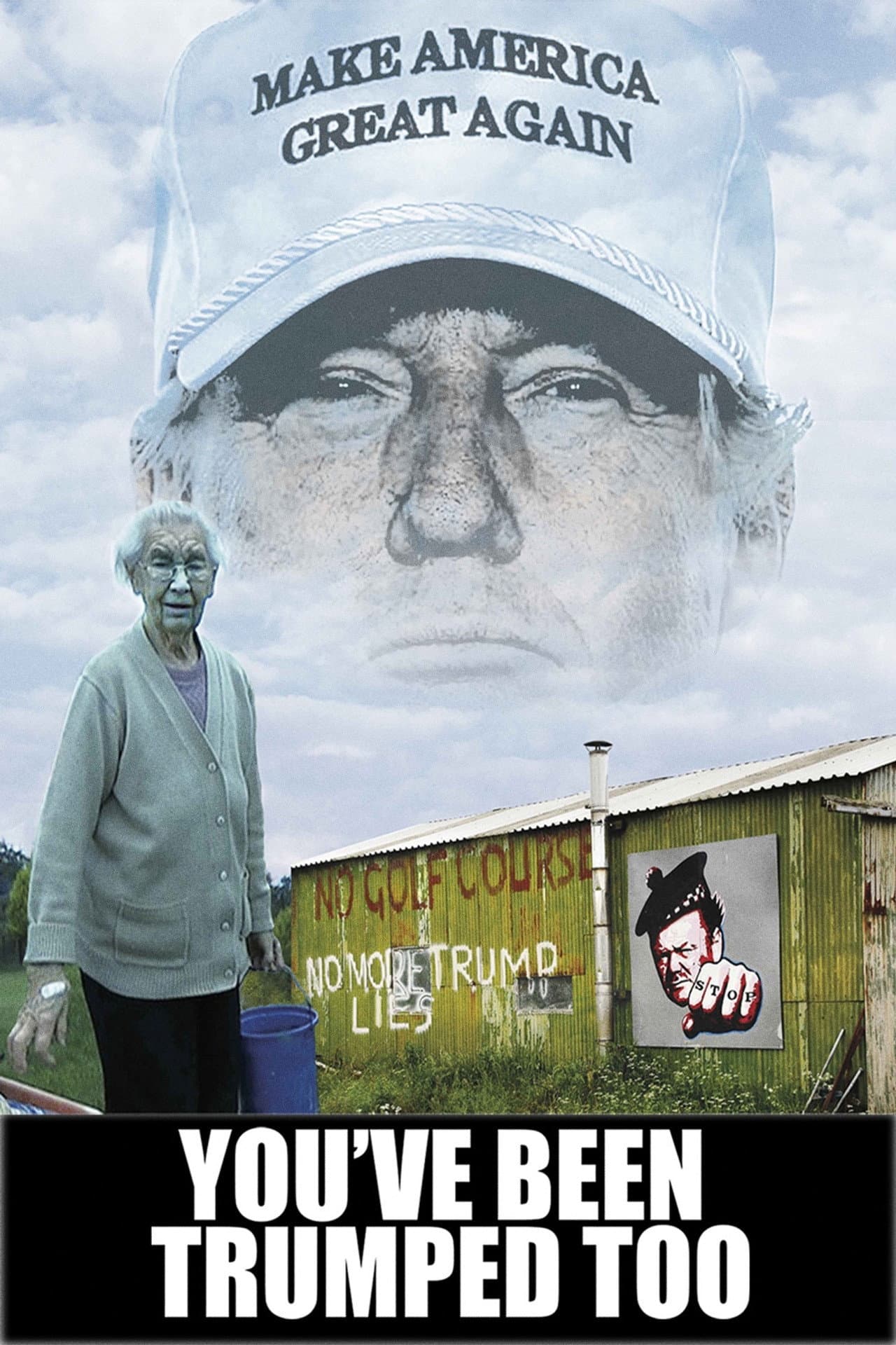 You've Been Trumped Too preview 2