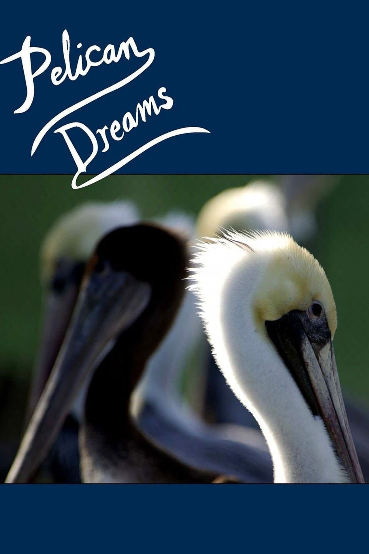 Pelican Dreams preview 1