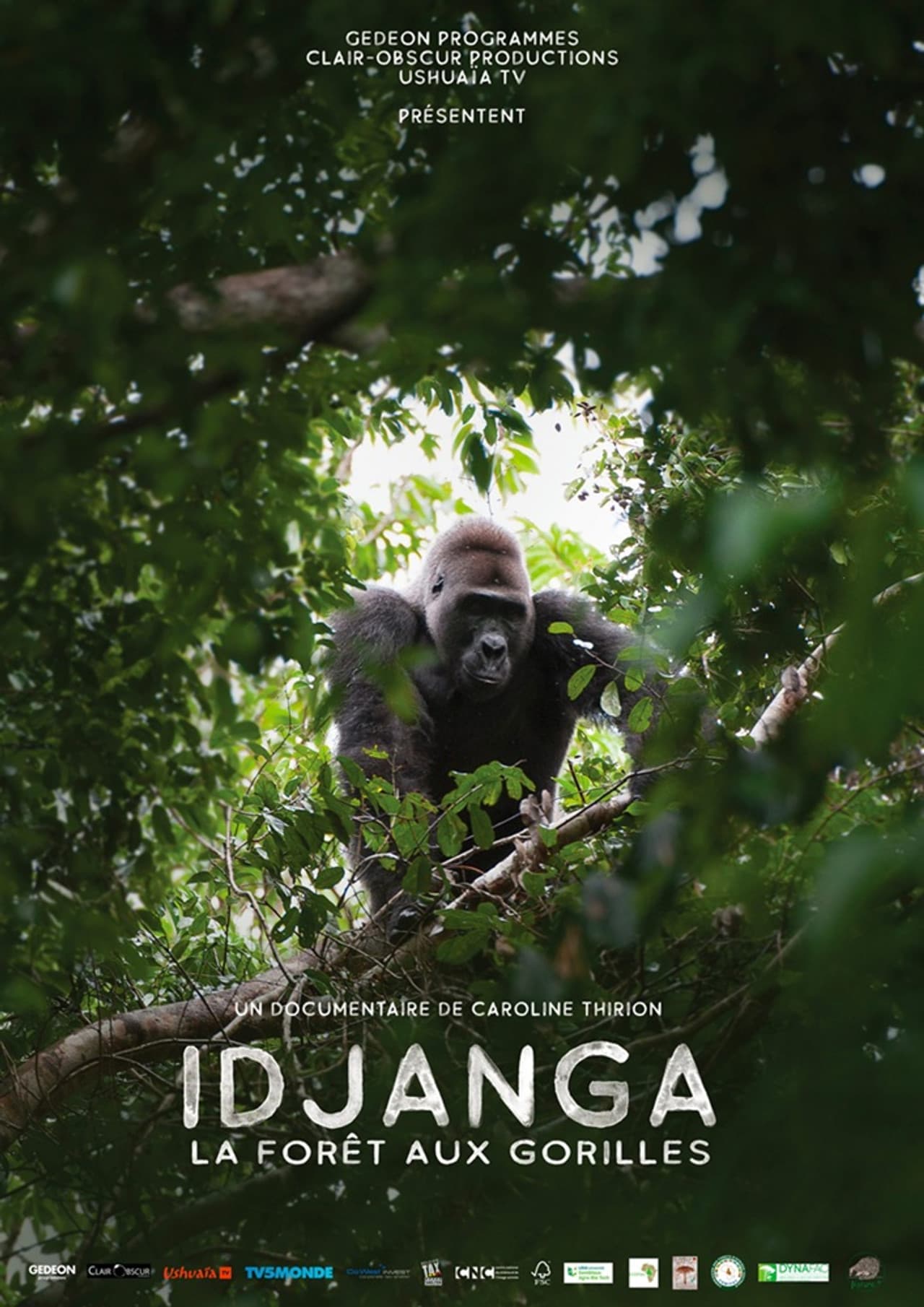Idjanga, la forêt aux gorilles preview 2